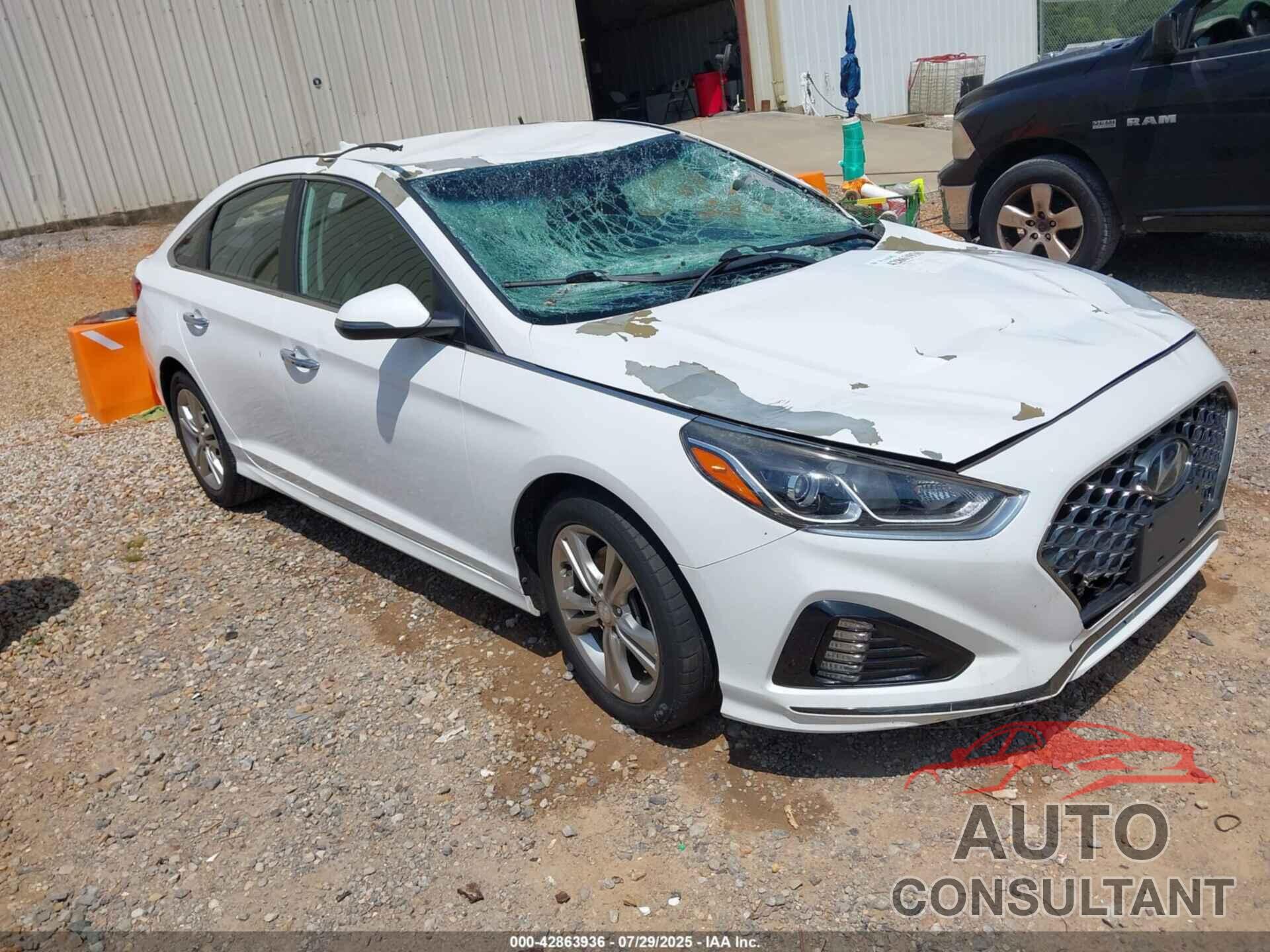 HYUNDAI SONATA 2019 - 5NPE34AF6KH788358