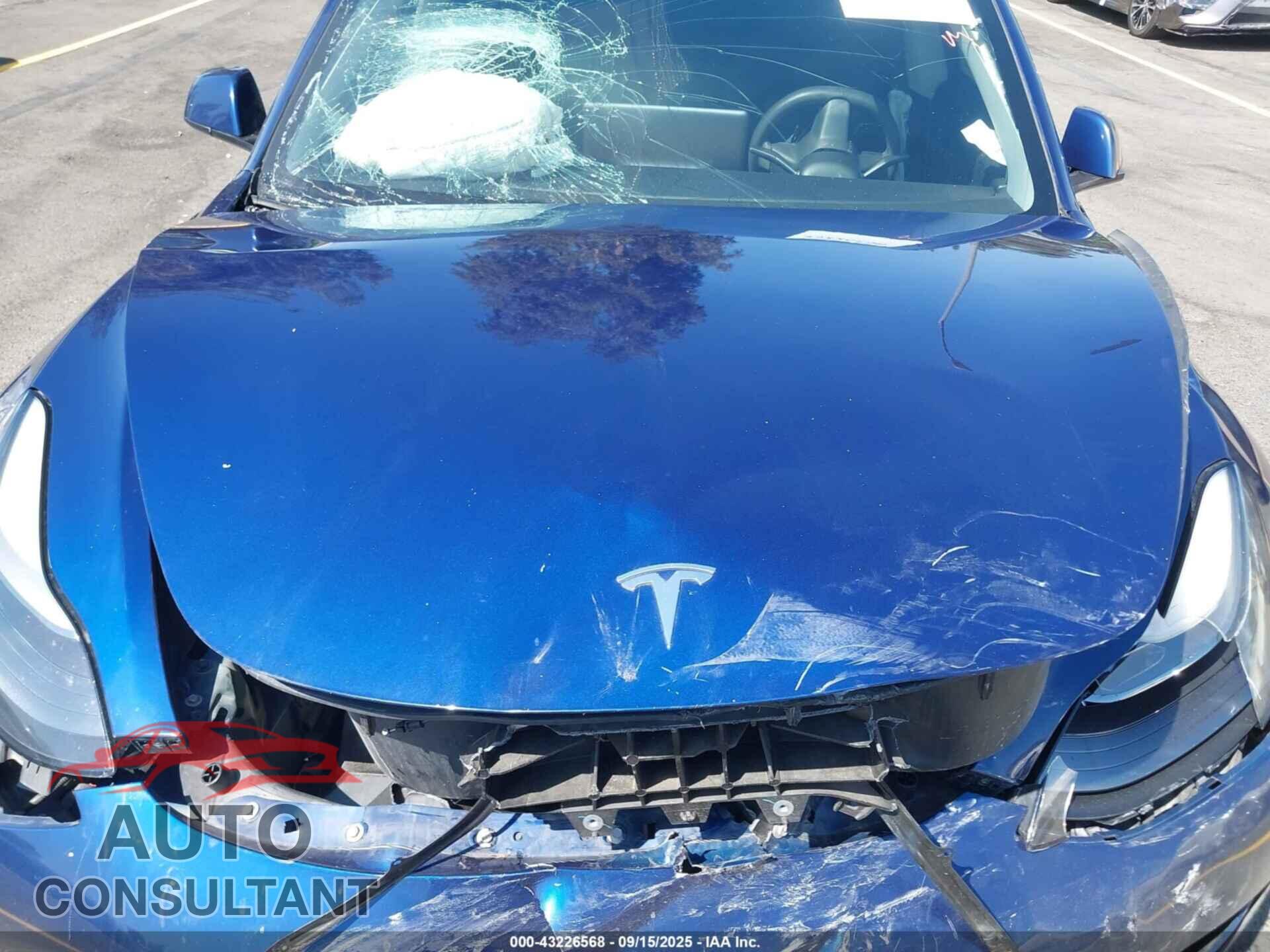 TESLA MODEL 3 2021 - 5YJ3E1EA6MF876388