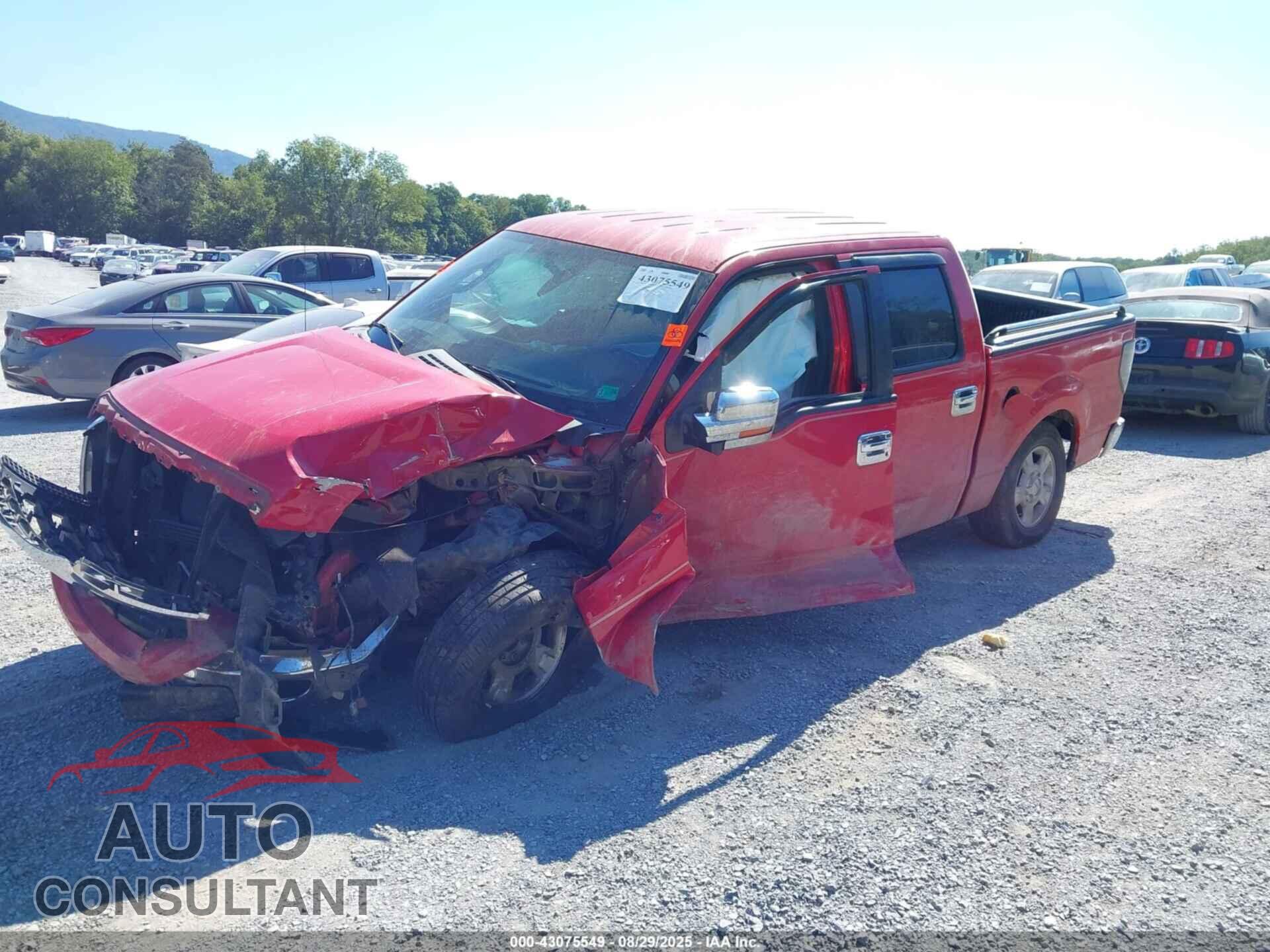 FORD F-150 2010 - 1FTEW1C8XAFA69059
