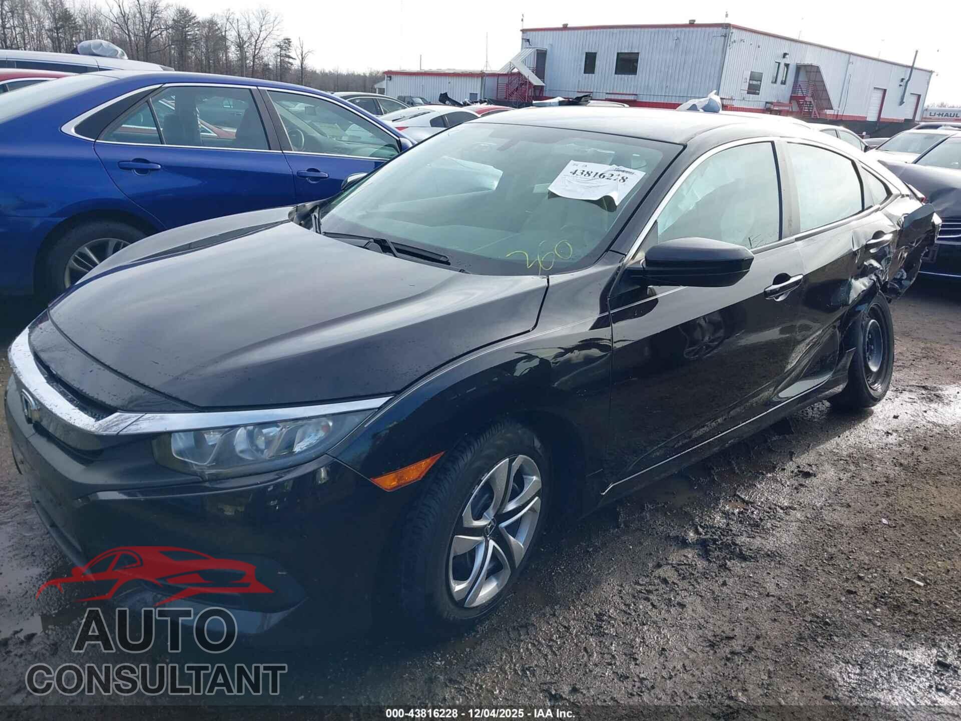 HONDA CIVIC 2016 - 2HGFC2F51GH543848