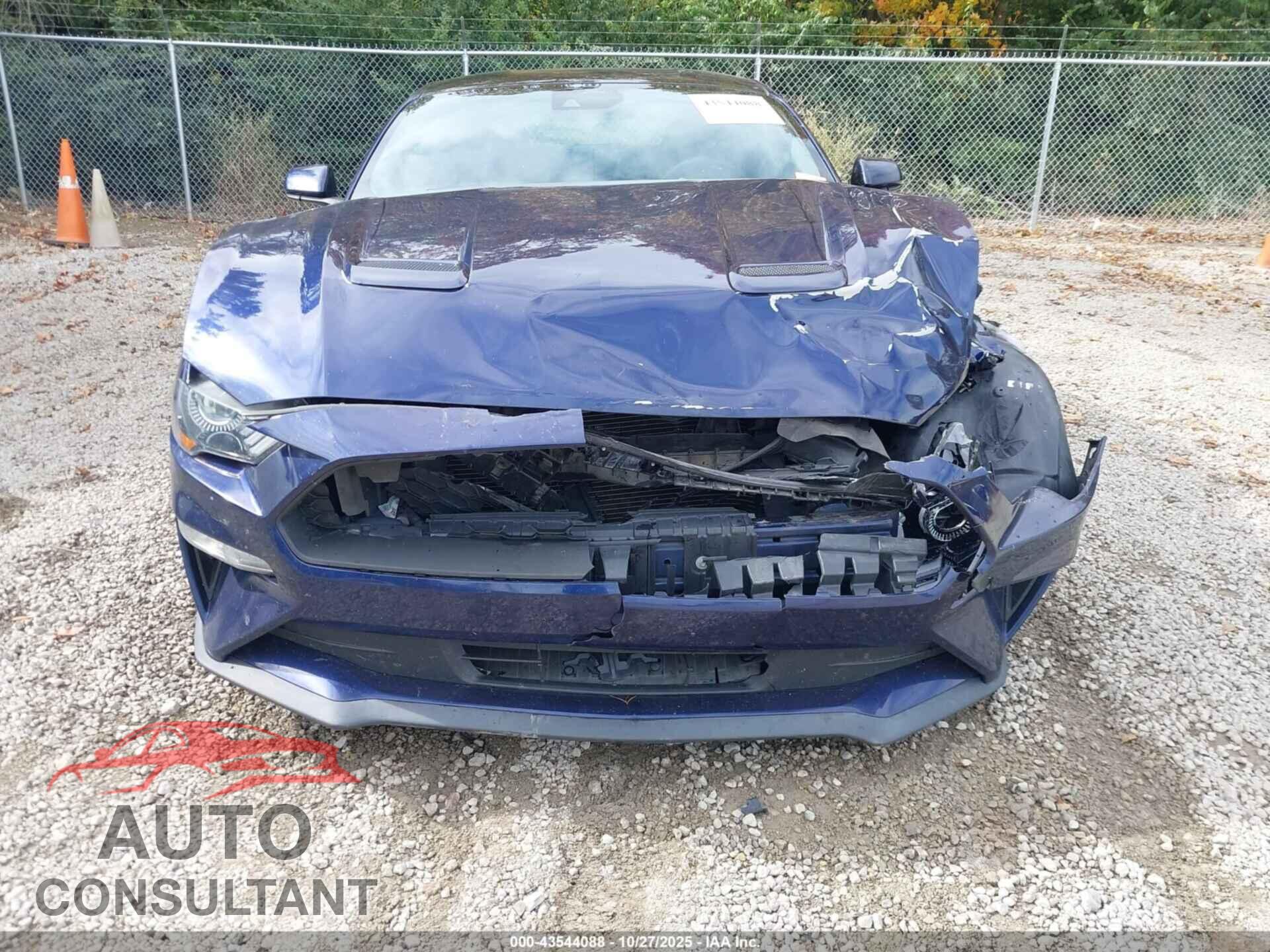 FORD MUSTANG 2019 - 1FA6P8TH3K5167776