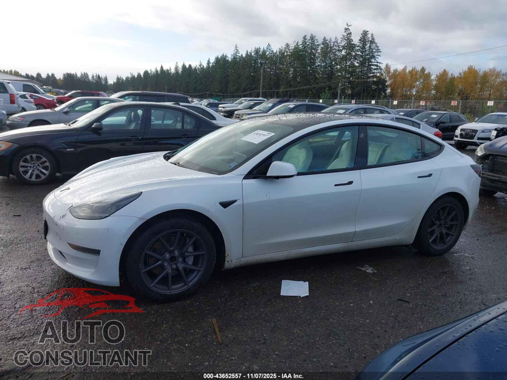 TESLA MODEL 3 2021 - 5YJ3E1EA9MF064583