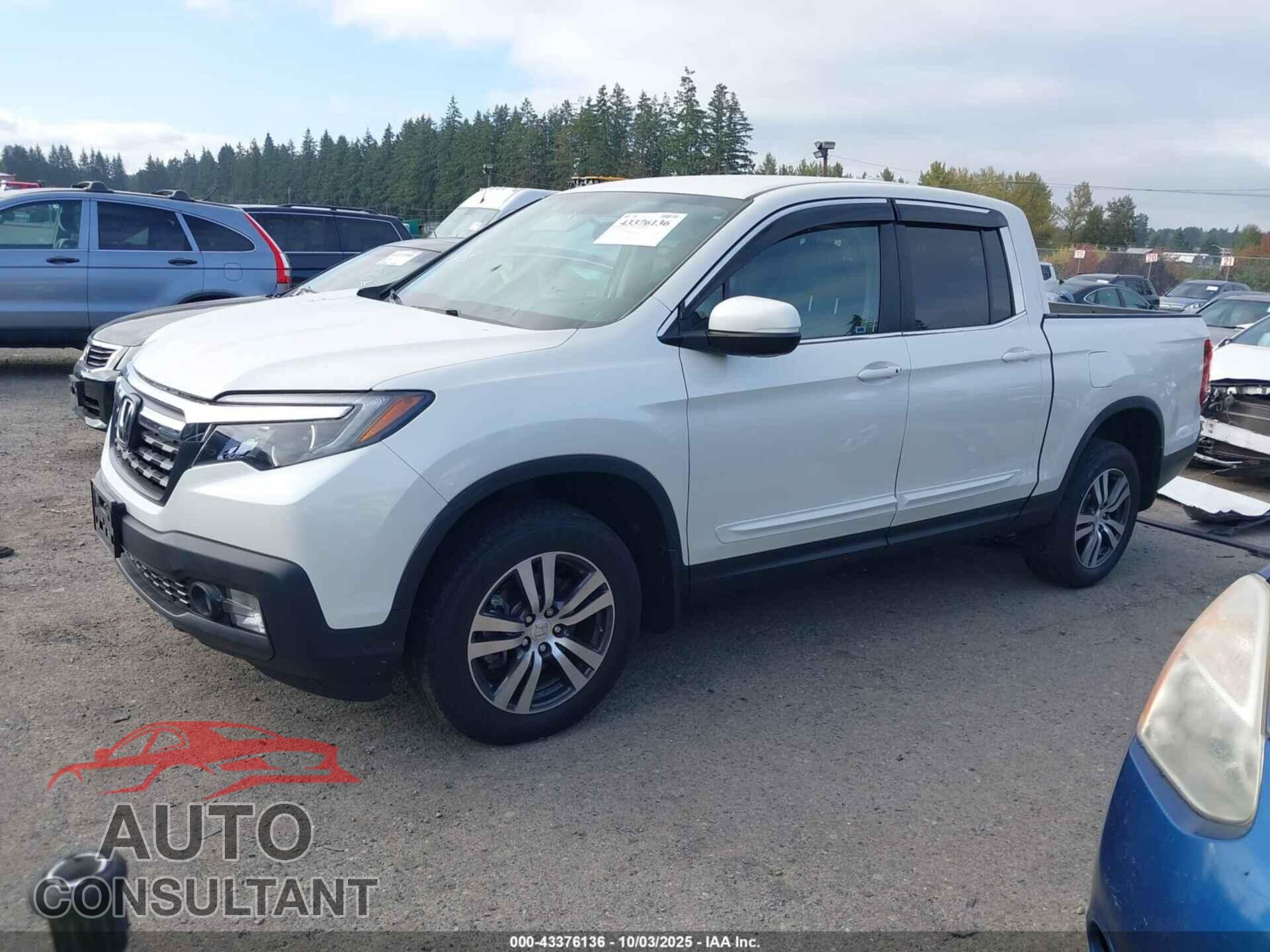 HONDA RIDGELINE 2017 - 5FPYK3F43HB015735
