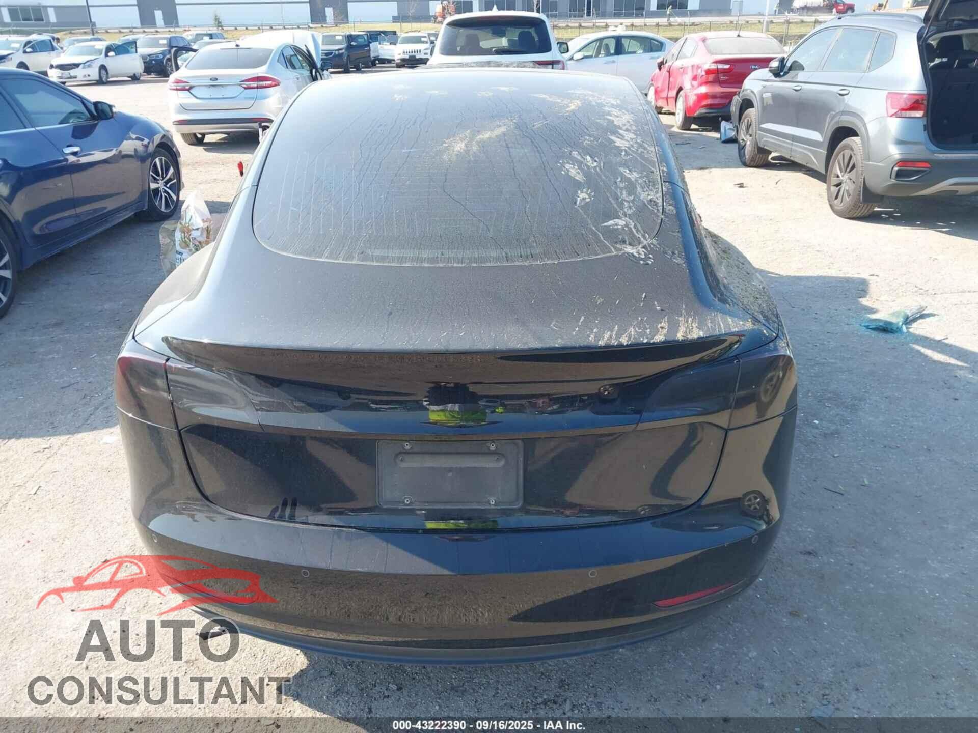 TESLA MODEL 3 2019 - 5YJ3E1EBXKF365918