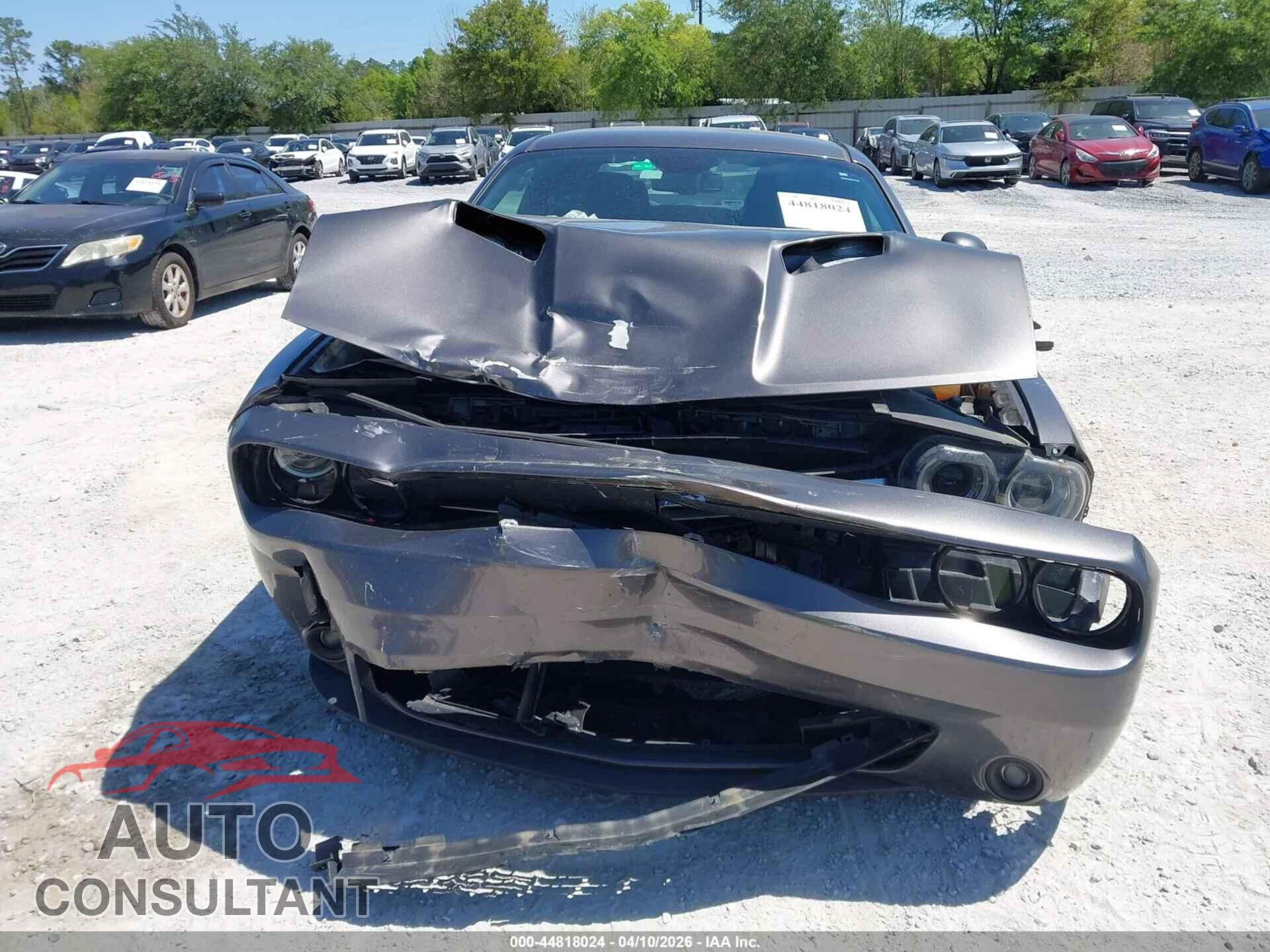 DODGE CHALLENGER 2019 - 2C3CDZAG5KH750417