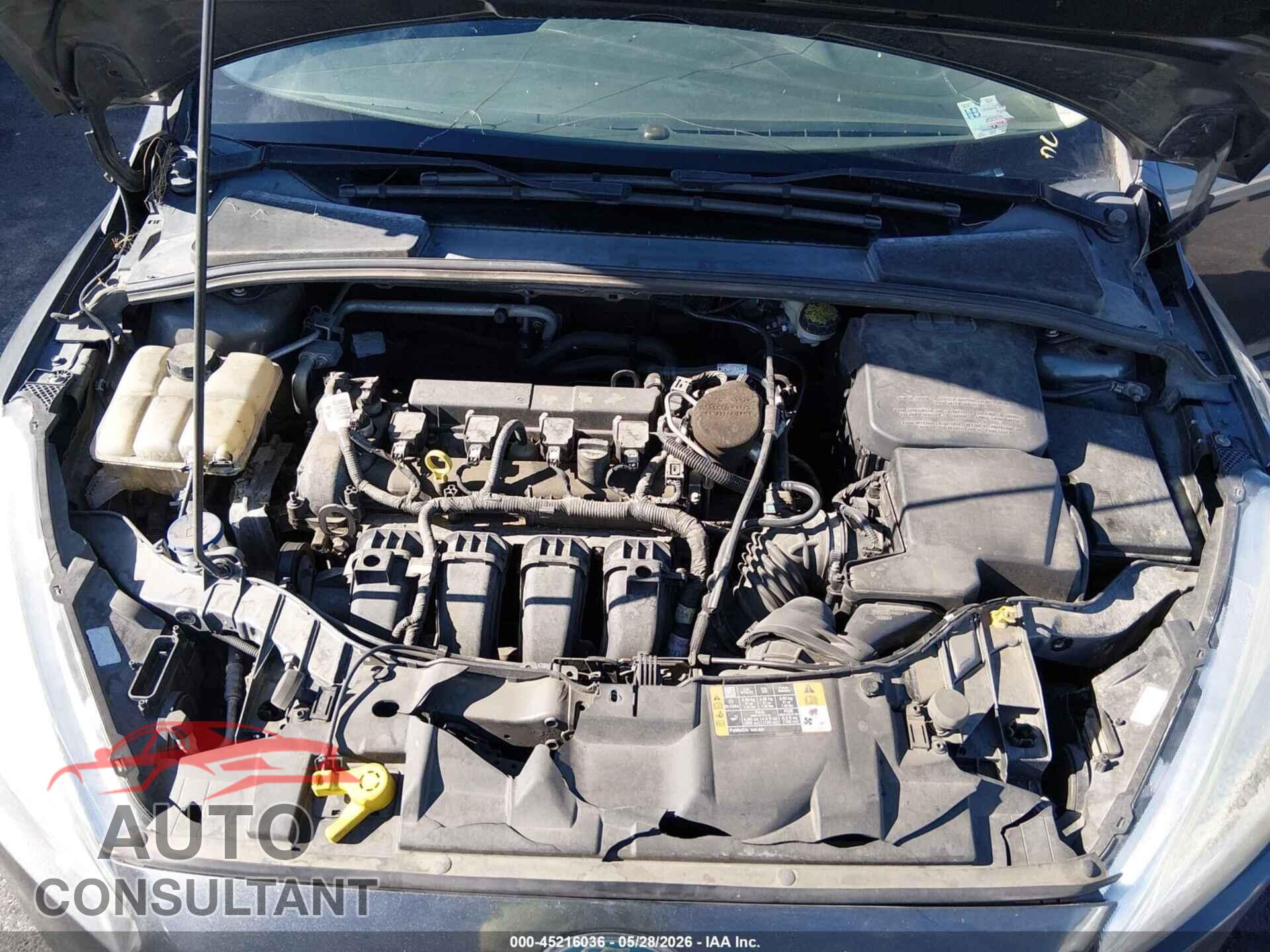 FORD FOCUS 2016 - 1FADP3E21GL246465
