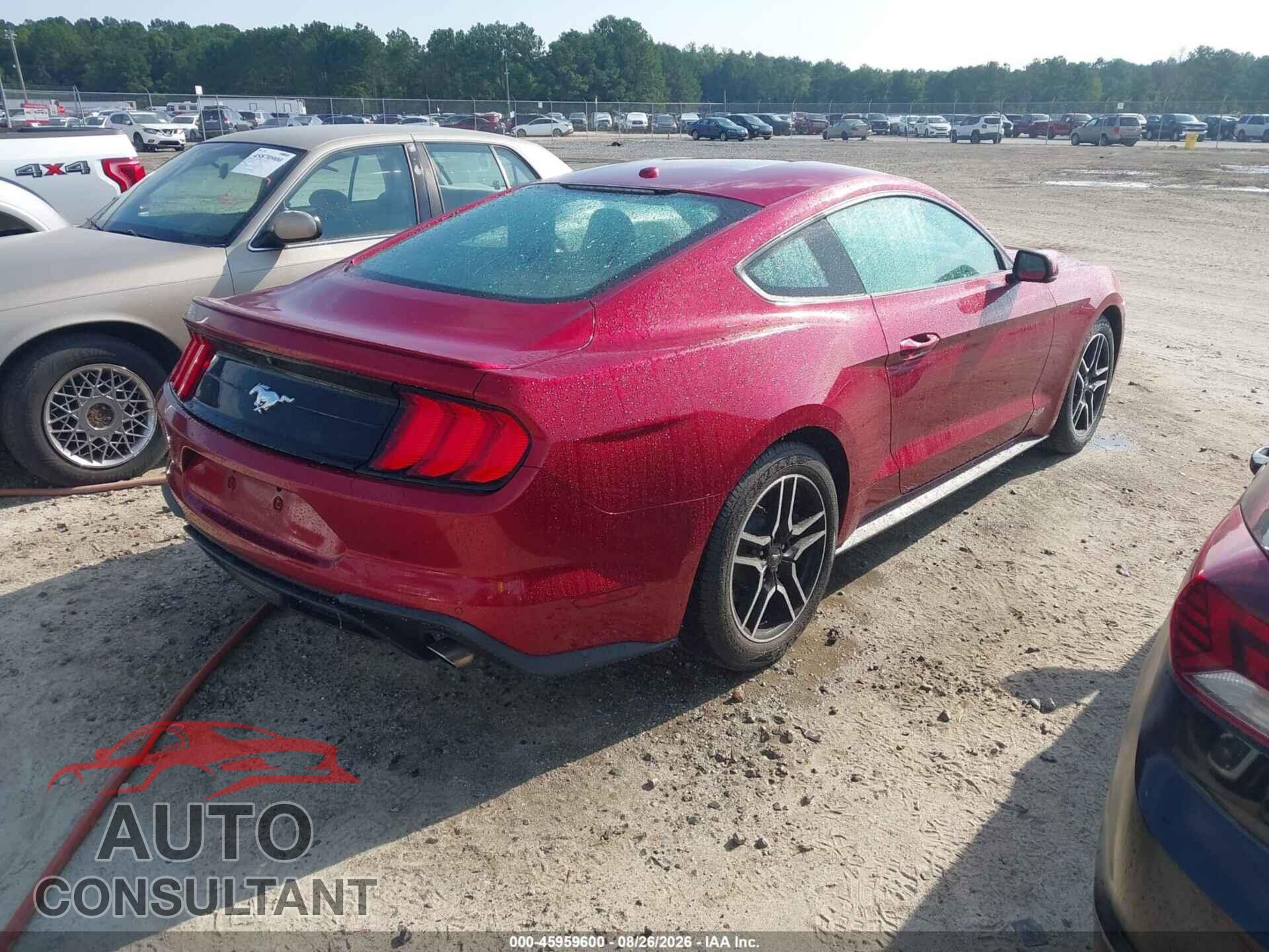 FORD MUSTANG 2019 - 1FA6P8TH2K5116477