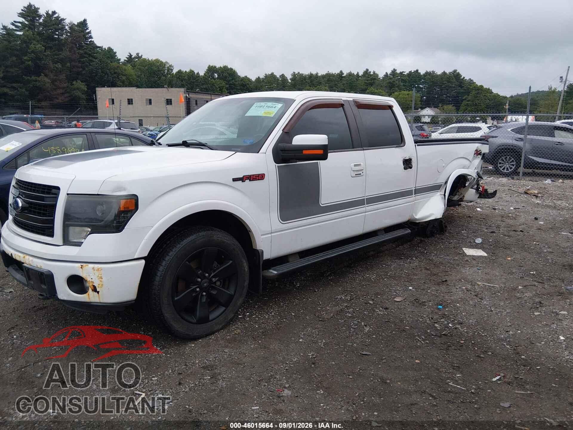 FORD F-150 2013 - 1FTFW1ET8DFD50111