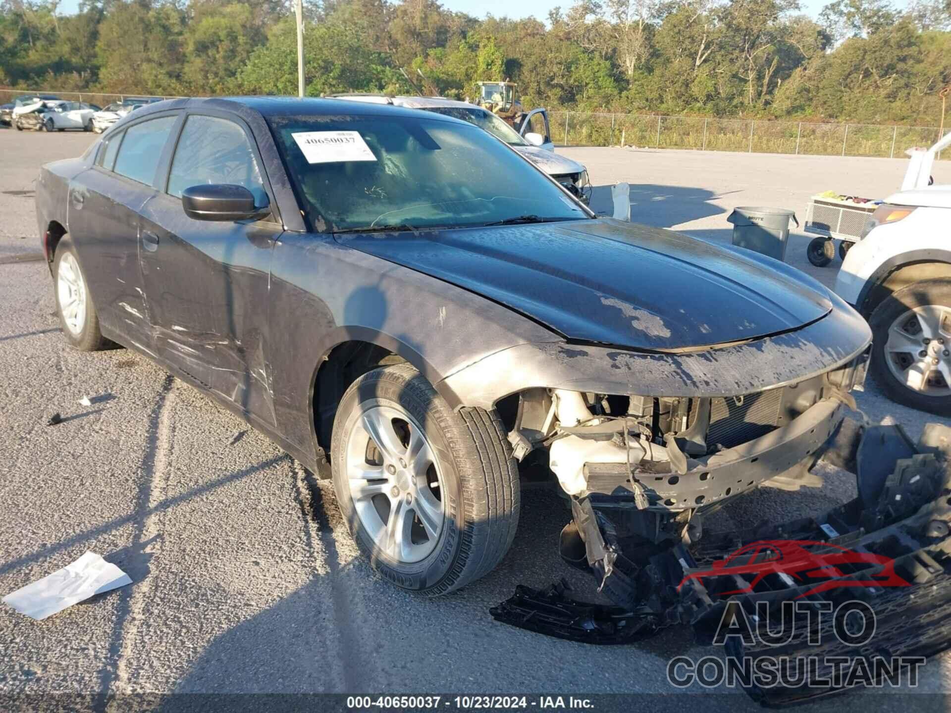 DODGE CHARGER 2020 - 2C3CDXBG5LH117632