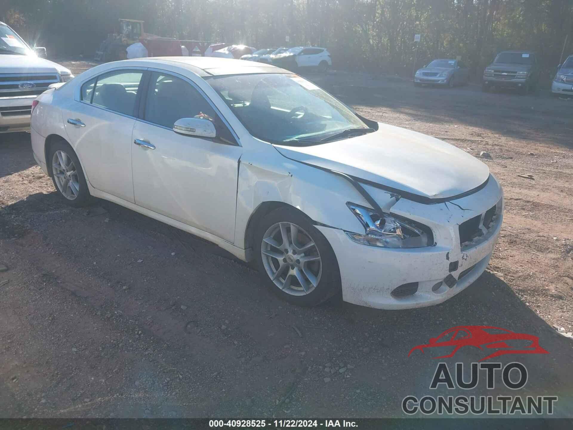 NISSAN MAXIMA 2010 - 1N4AA5APXAC857247