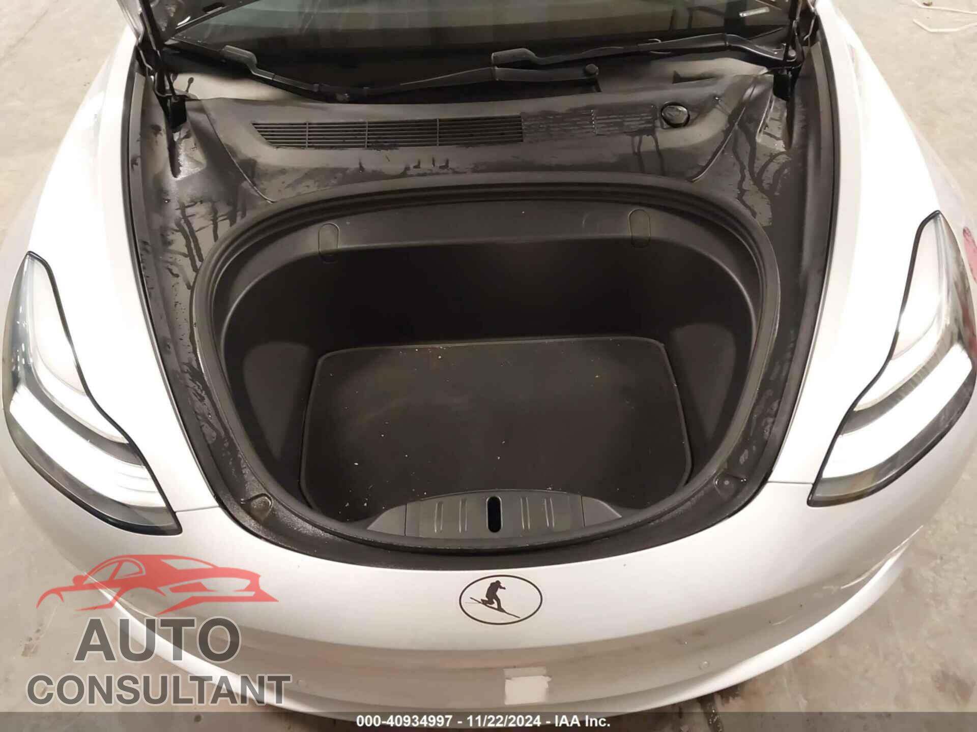 TESLA MODEL 3 2018 - 5YJ3E1EA4JF061392