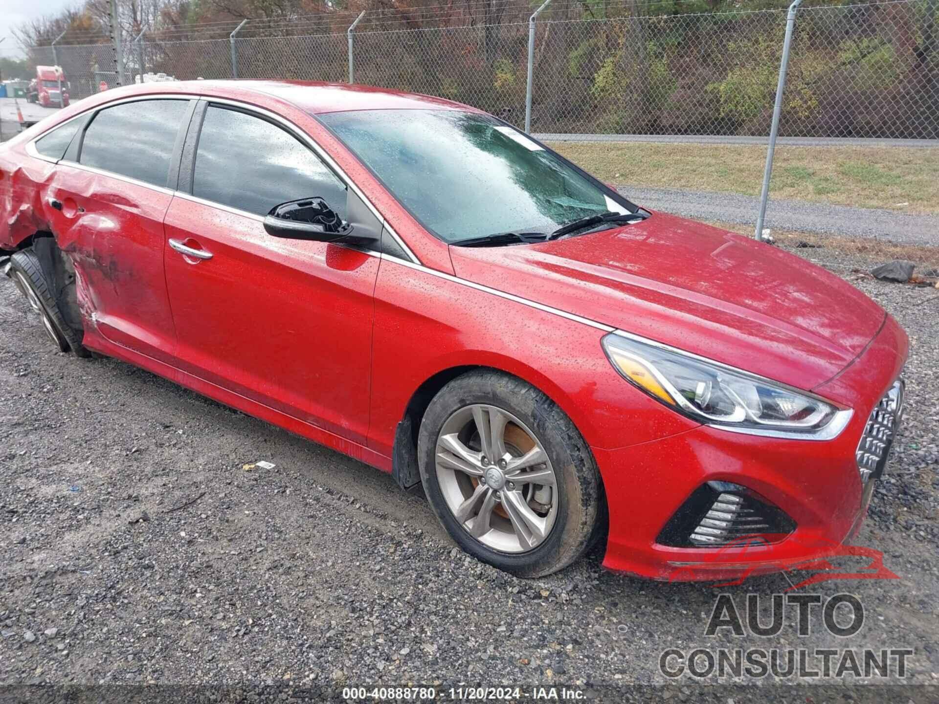 HYUNDAI SONATA 2019 - 5NPE34AF1KH807821