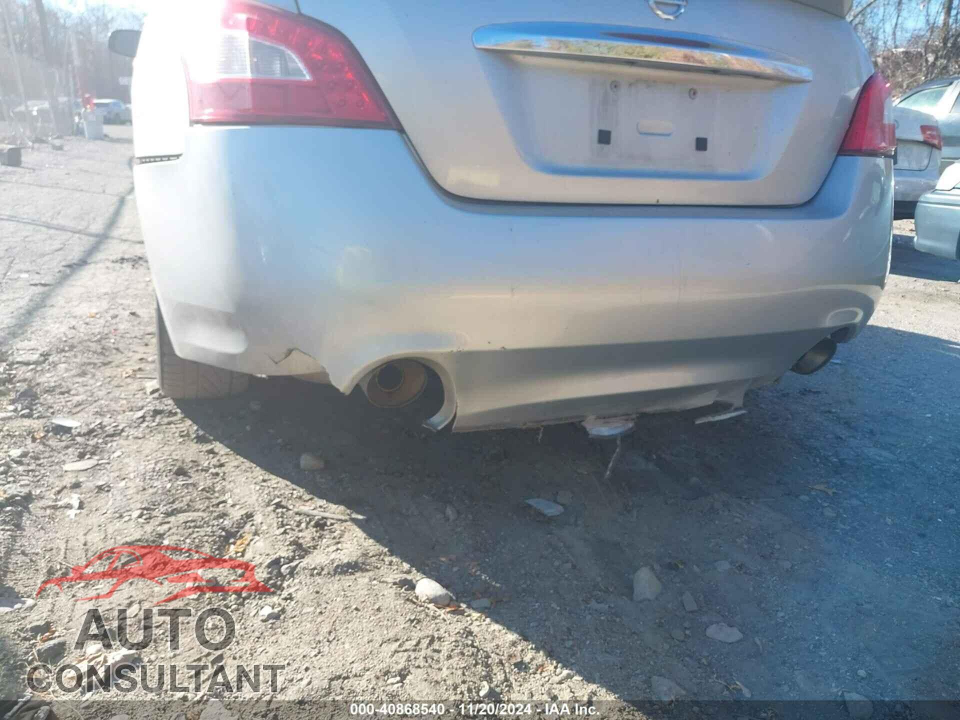 NISSAN MAXIMA 2009 - 1N4AA51E79C838357