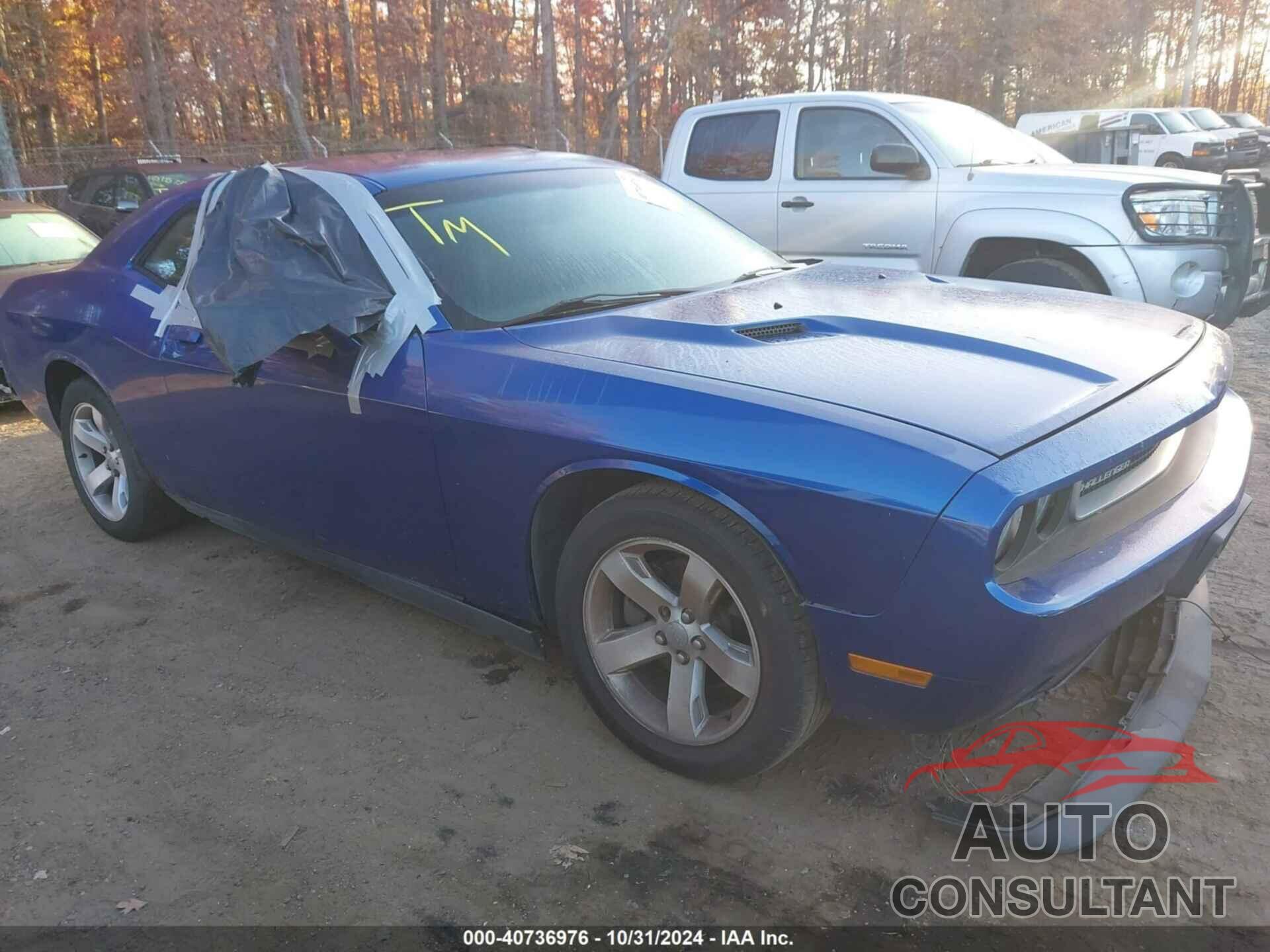 DODGE CHALLENGER 2012 - 2C3CDYAG5CH294429