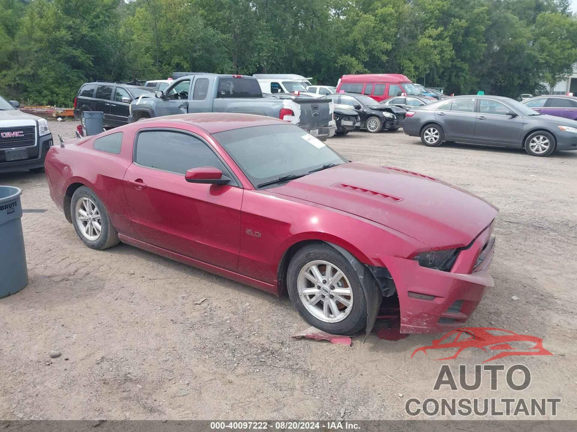 FORD MUSTANG 2014 - 1ZVBP8CF9E5243431