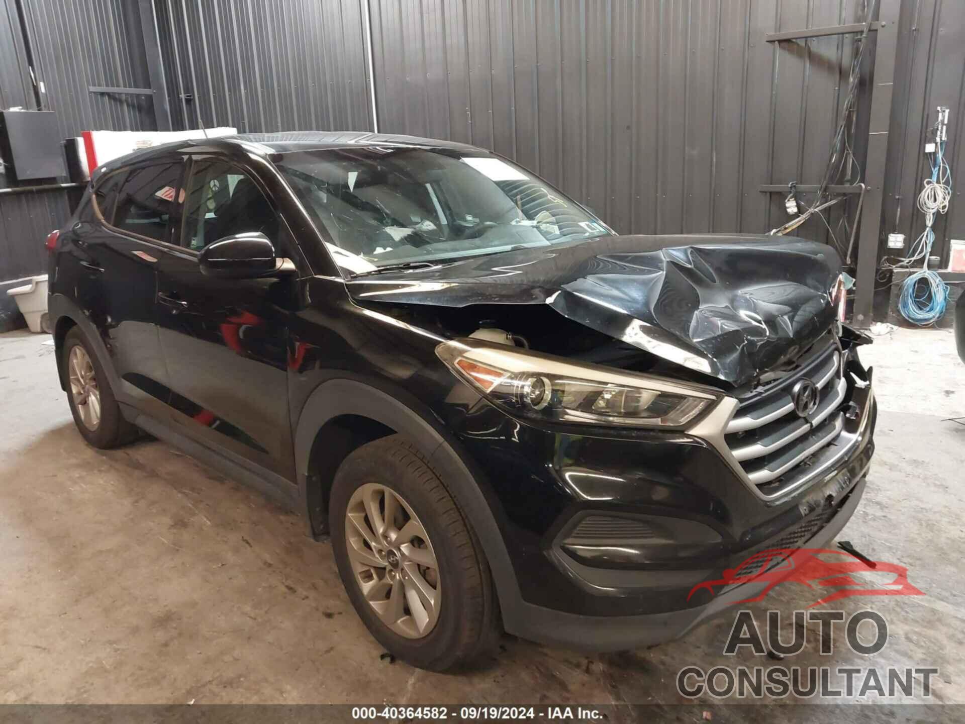 HYUNDAI TUCSON 2017 - KM8J23A43HU336517