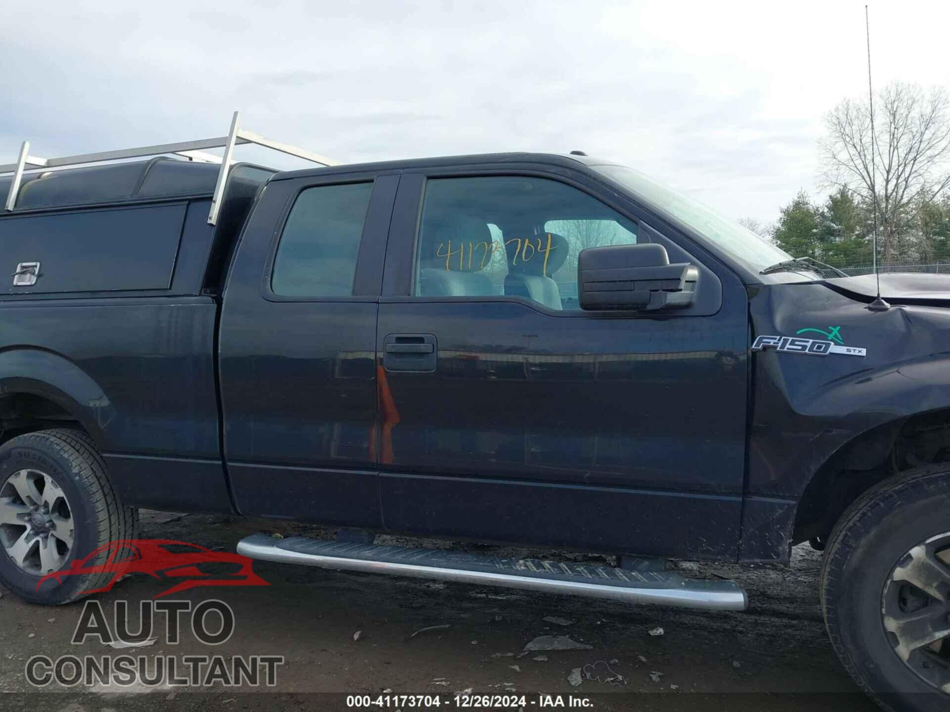 FORD F-150 2013 - 1FTFX1EFXDFD98944
