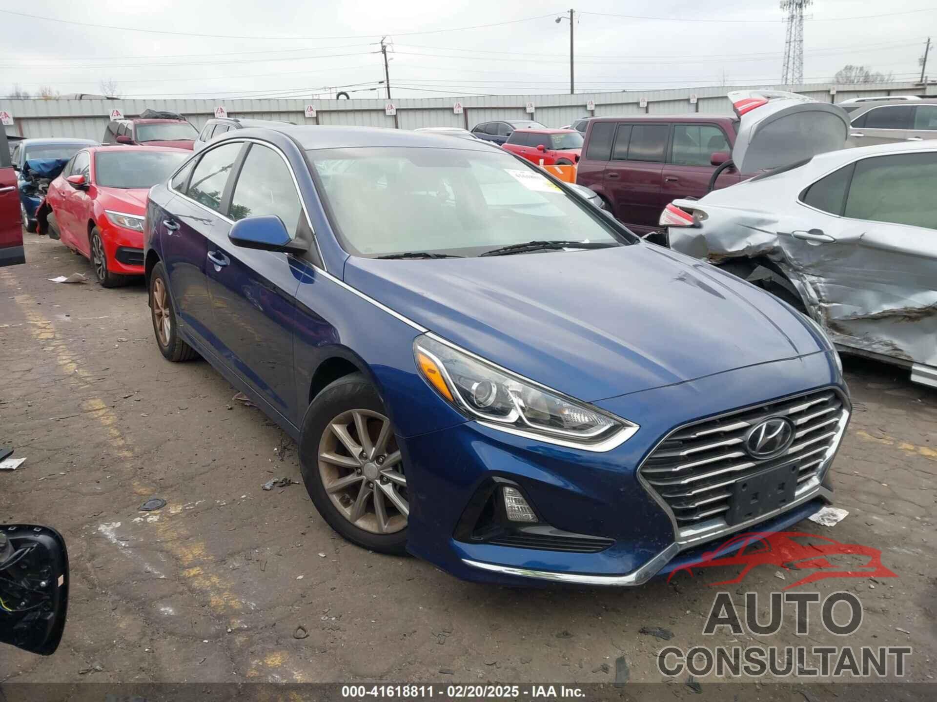 HYUNDAI SONATA 2019 - 5NPE24AF0KH737313