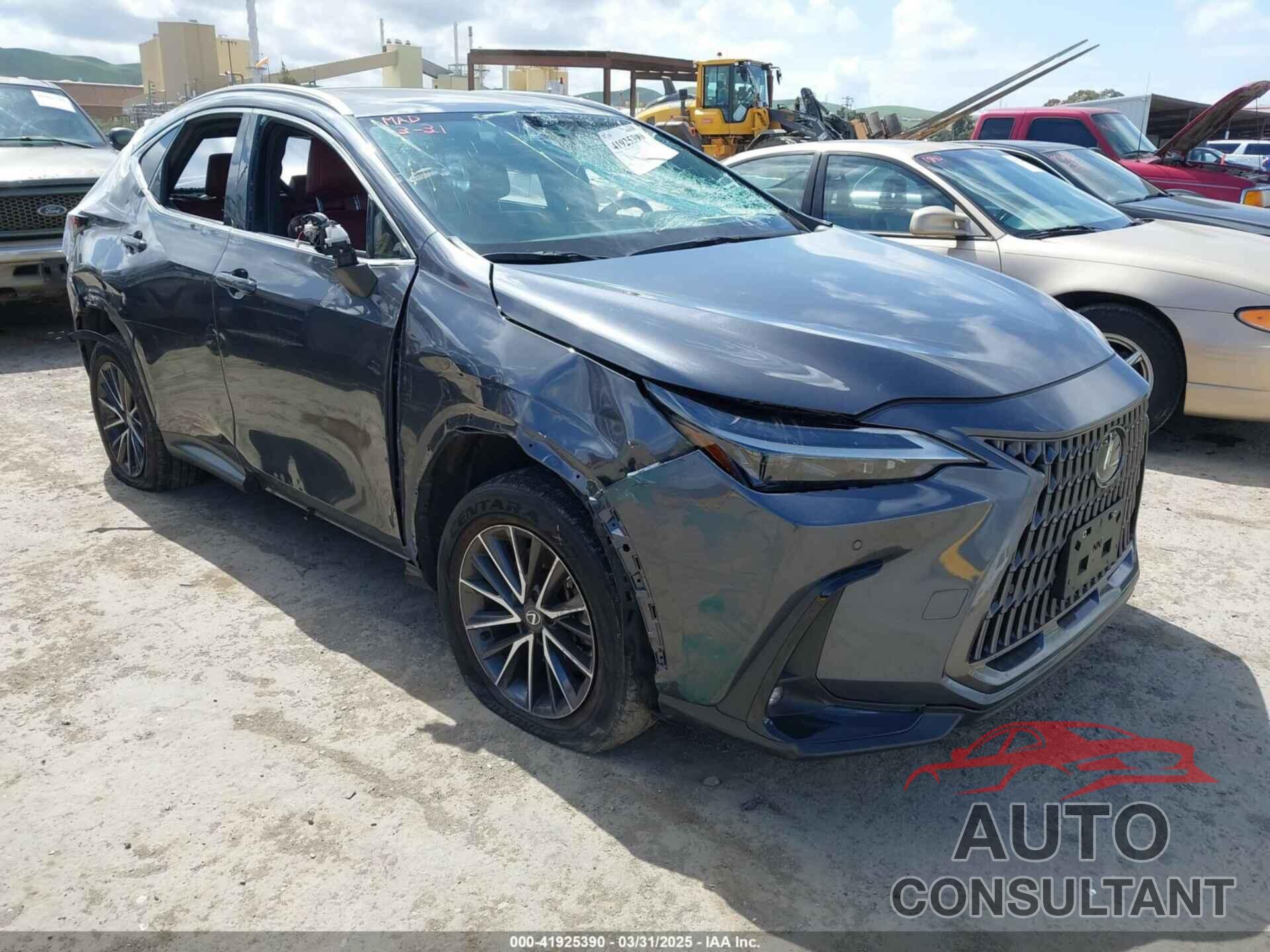 LEXUS NX 250 2024 - 2T2GDCAZ4RC006643
