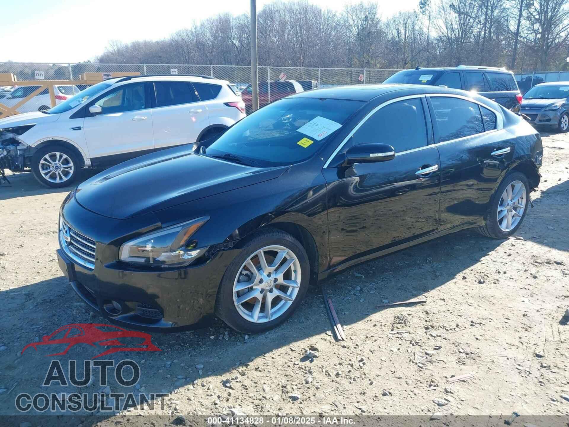 NISSAN MAXIMA 2011 - 1N4AA5AP8BC842229