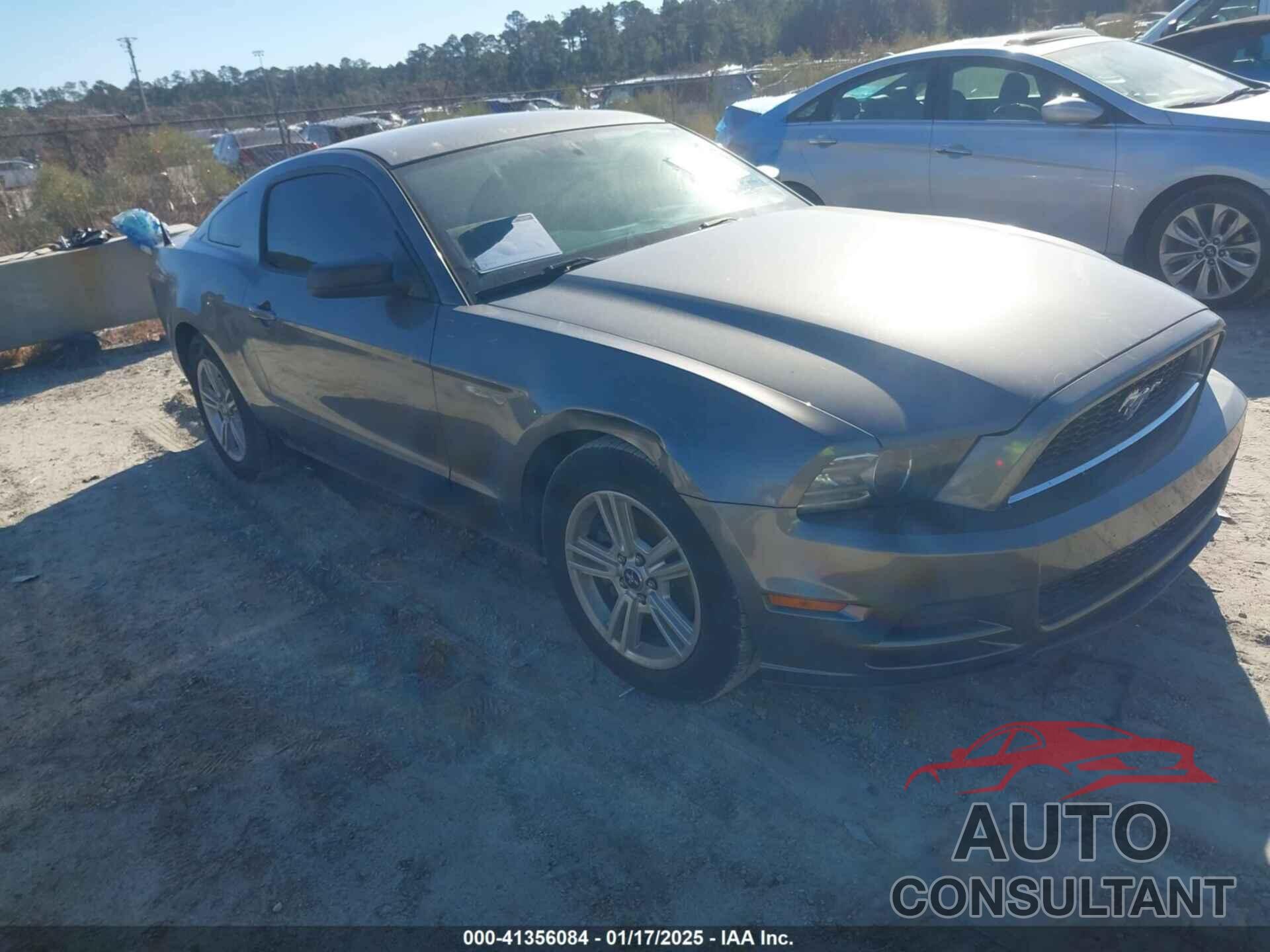 FORD MUSTANG 2014 - 1ZVBP8AM6E5302310
