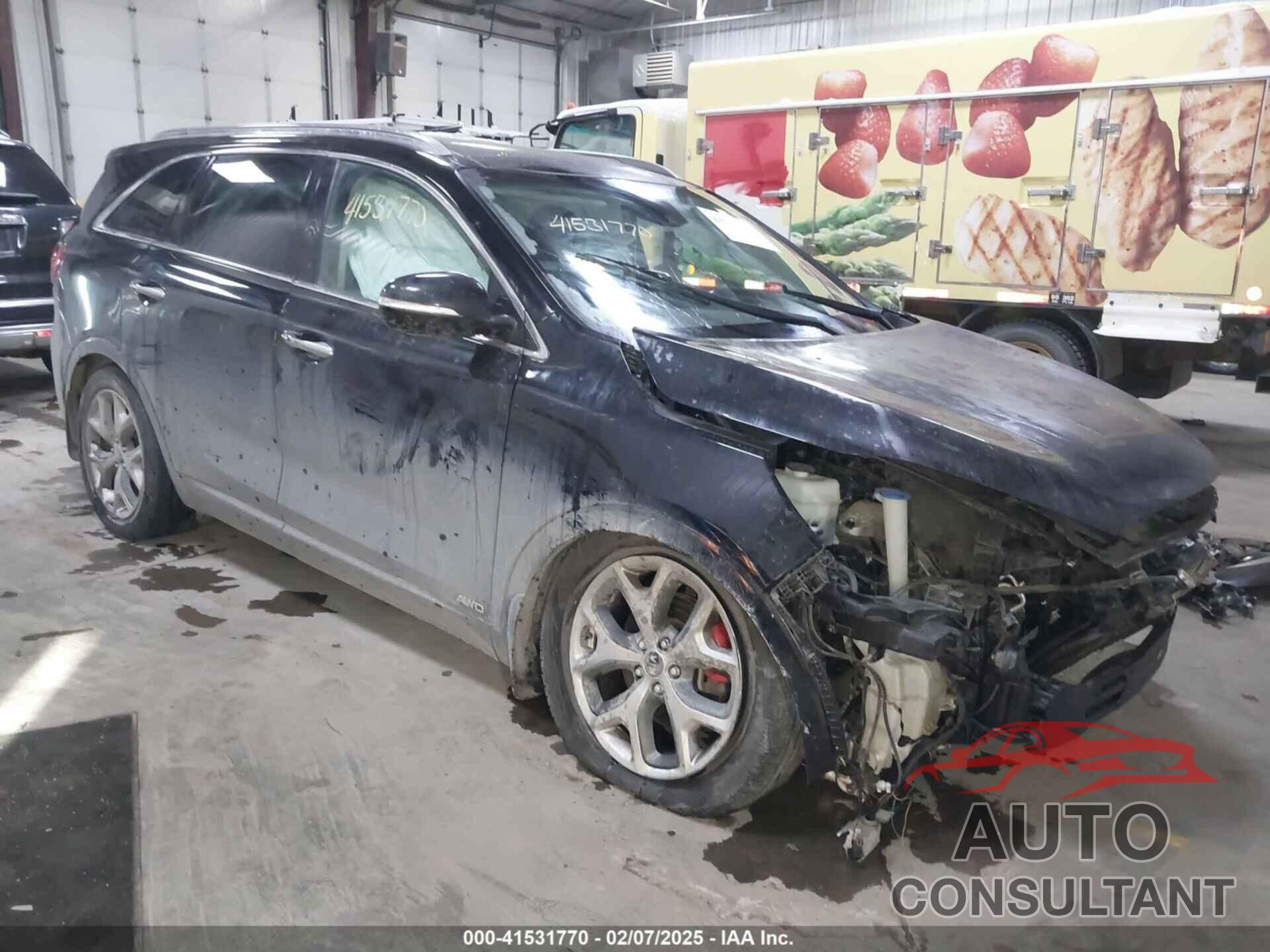 KIA SORENTO 2019 - 5XYPKDA55KG511727