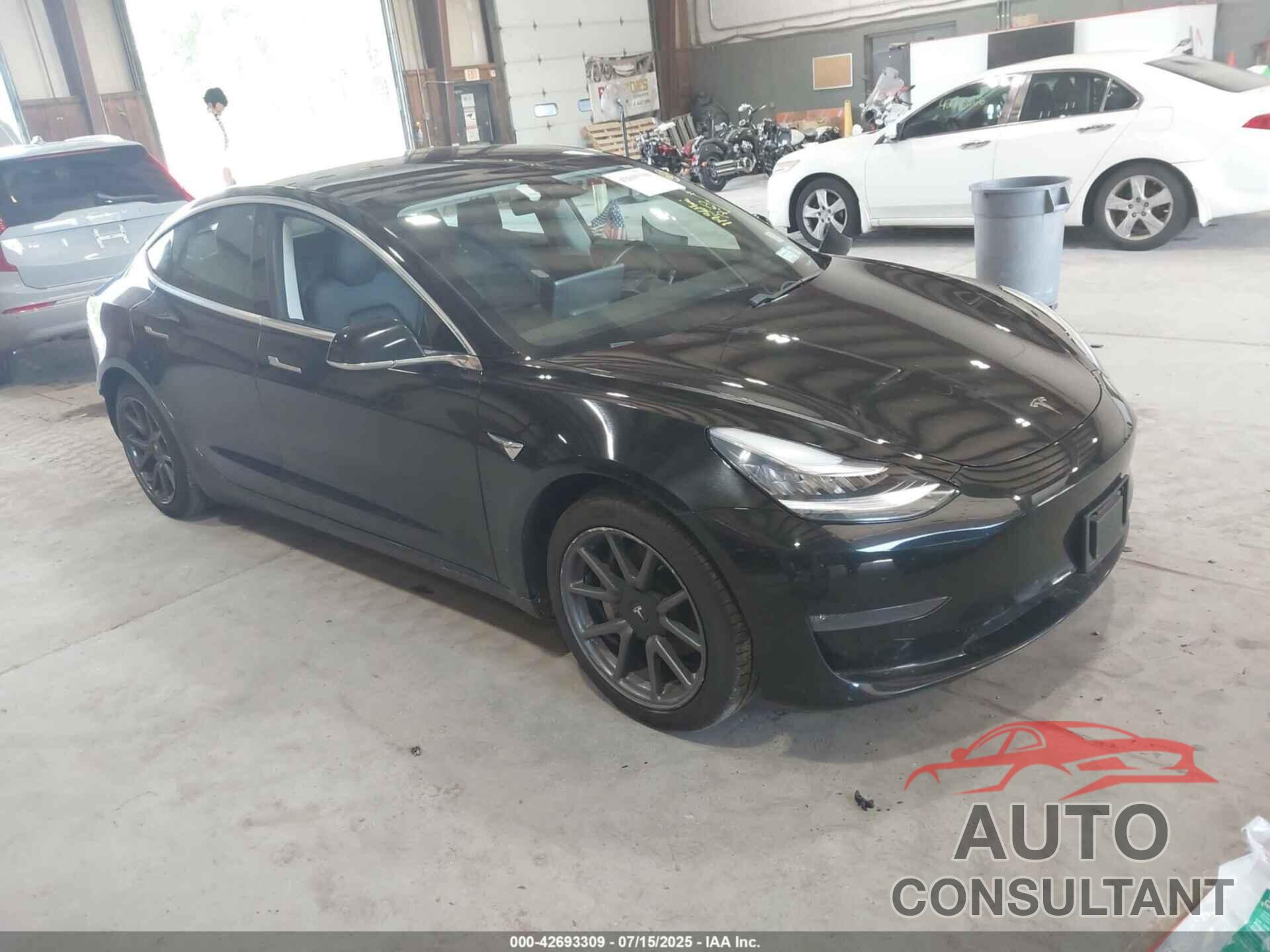 TESLA MODEL 3 2019 - 5YJ3E1EB2KF384754