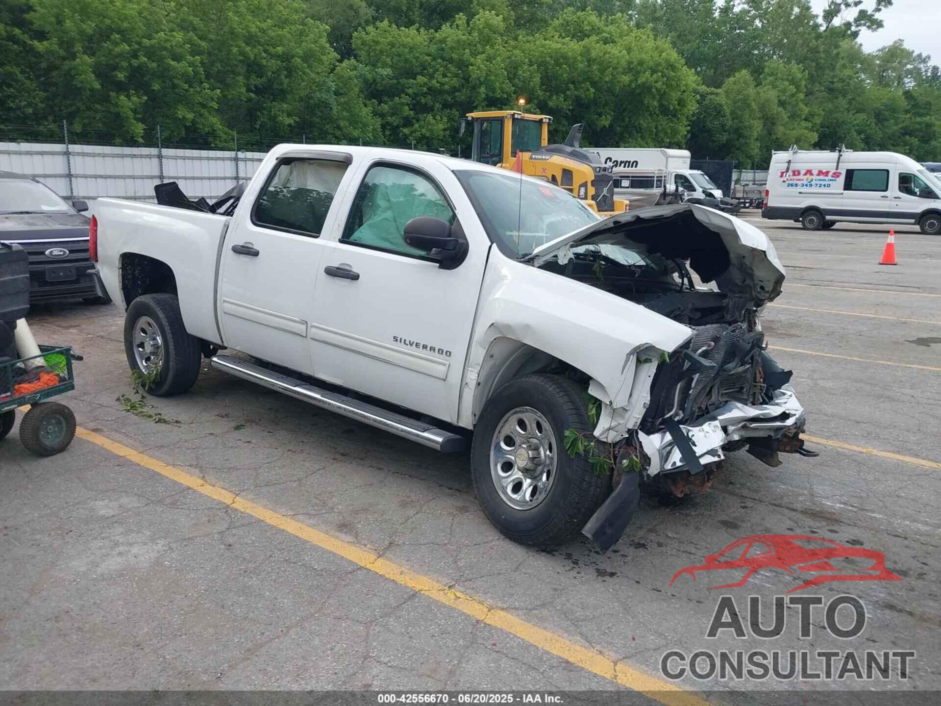CHEVROLET SILVERADO 1500 2010 - 3GCRKSEA6AG286688