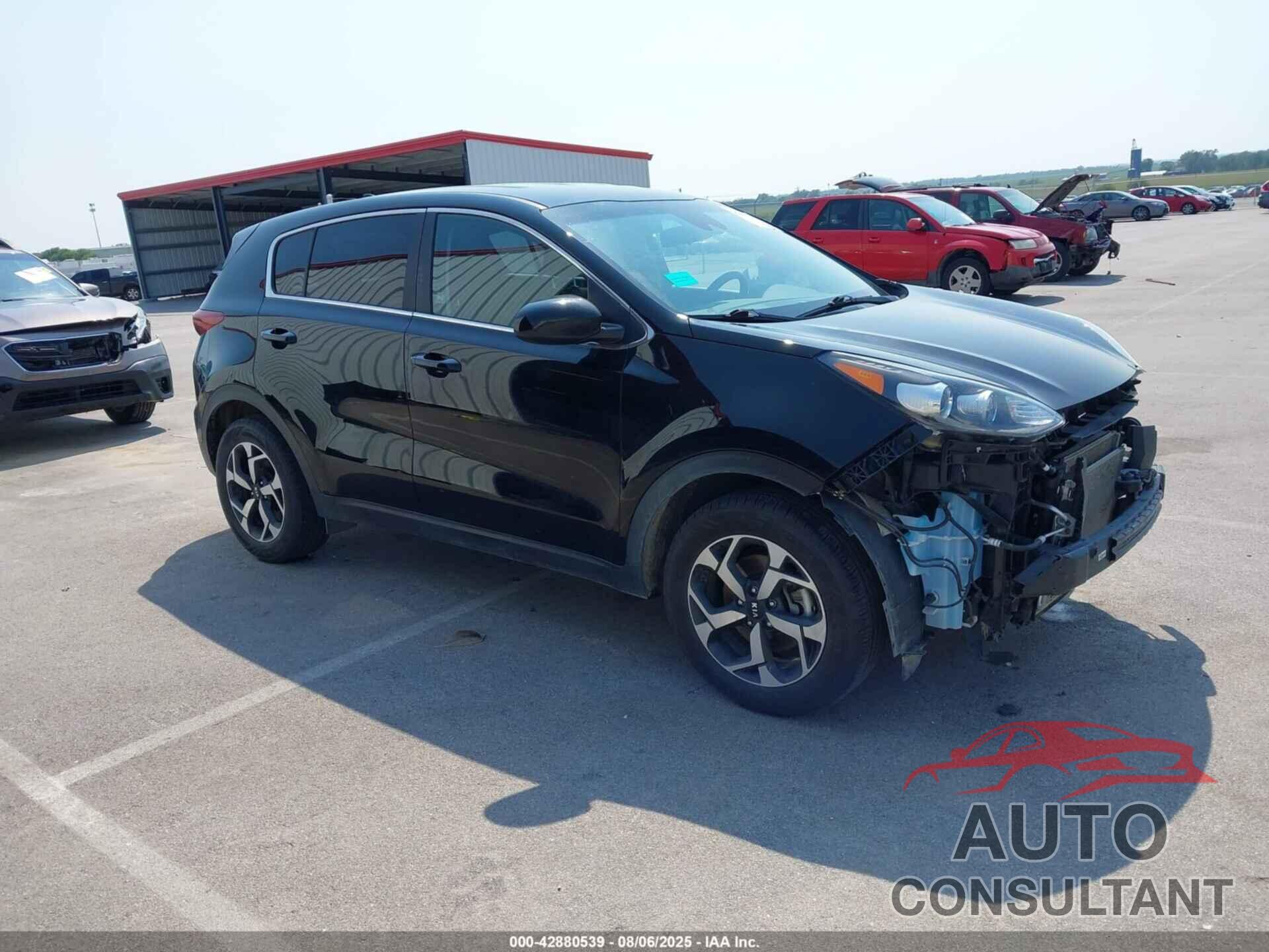 KIA SPORTAGE 2022 - KNDPM3AC0N7993804