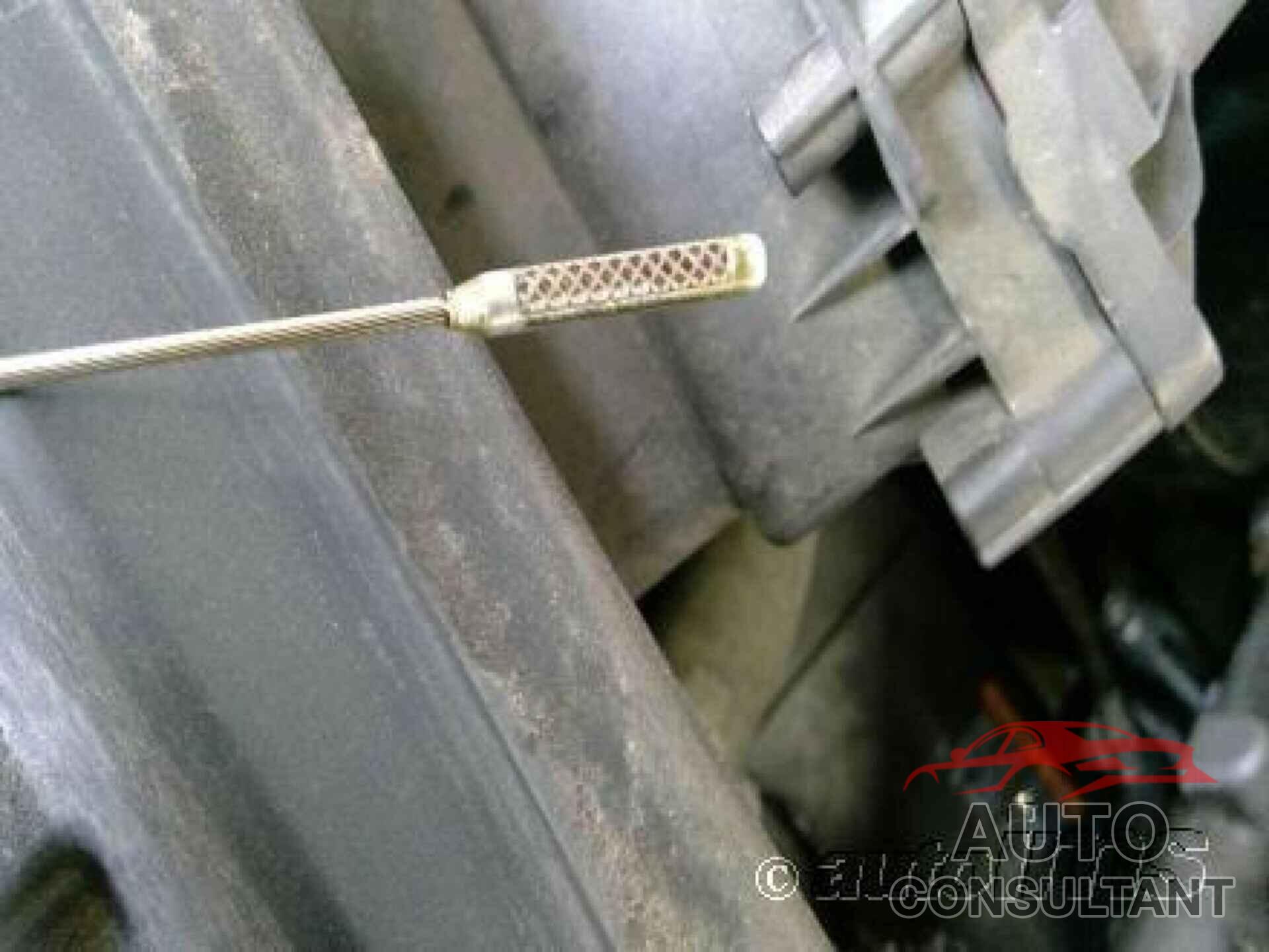 CHEVROLET EXPRESS CARGO 2022 - 1GCWGAFP8N1206247