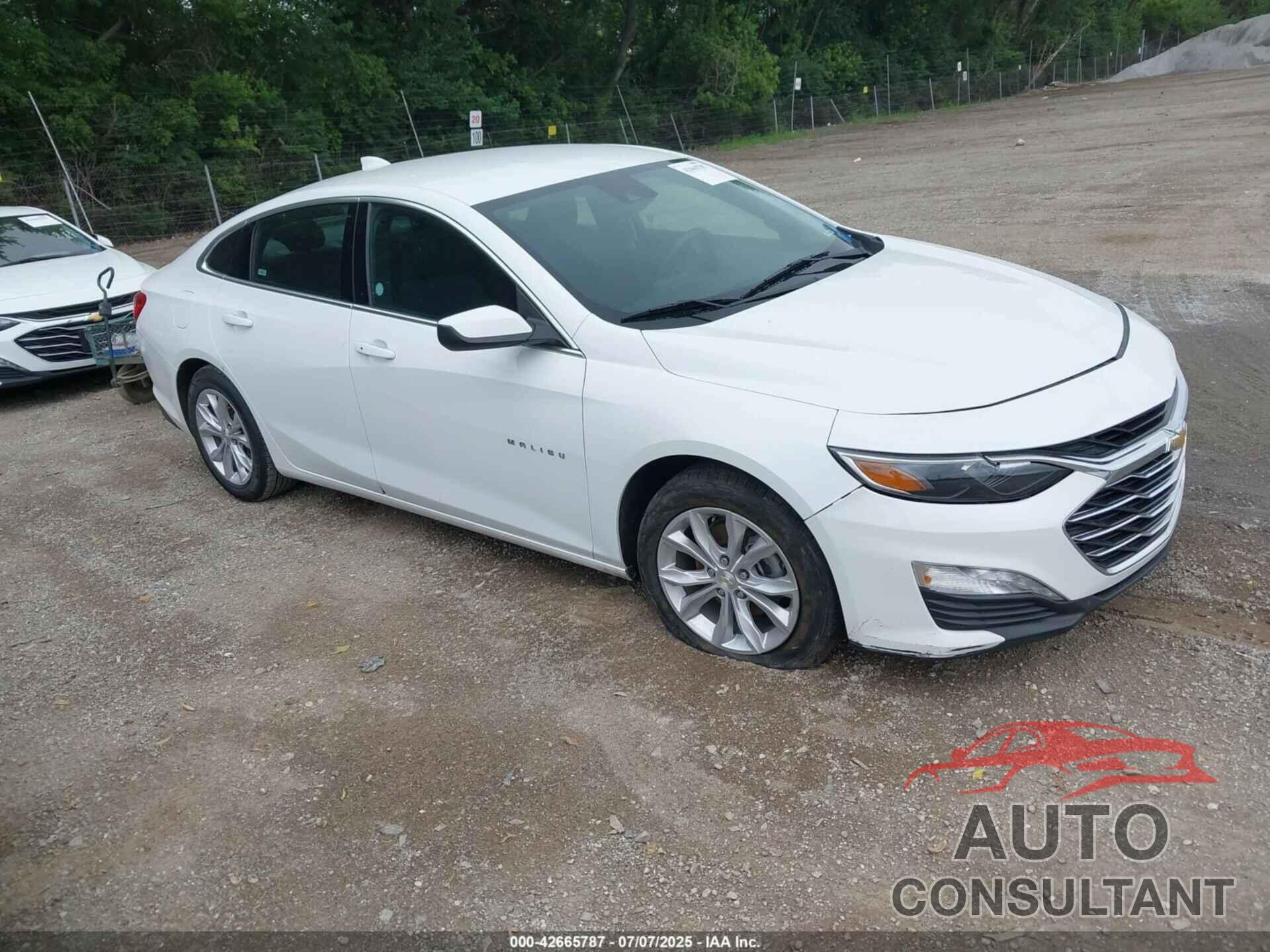 CHEVROLET MALIBU 2023 - 1G1ZD5ST4PF174332