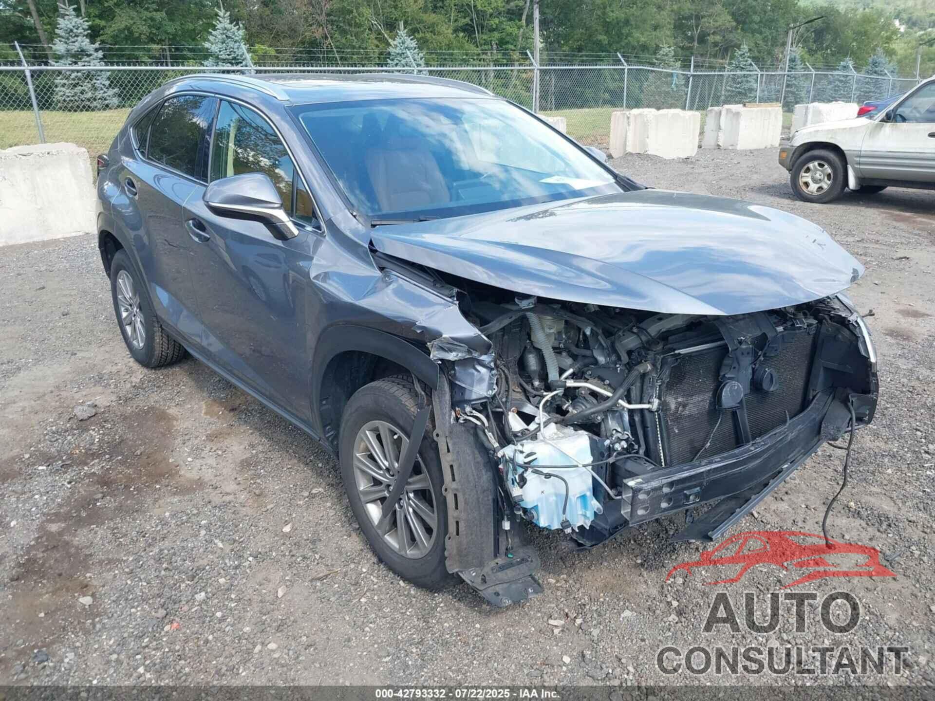 LEXUS NX 300 2020 - JTJDARDZ1L2236139