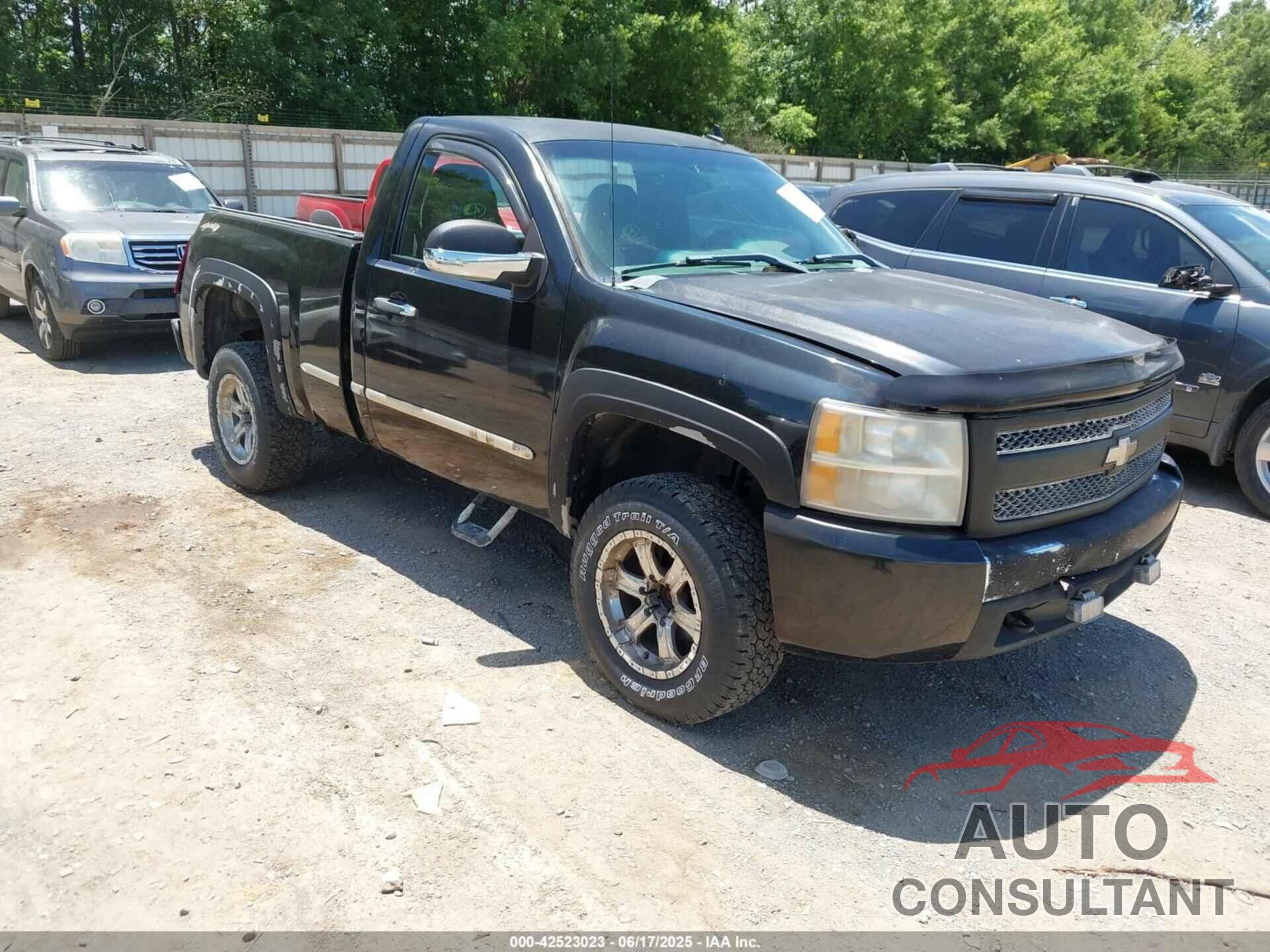 CHEVROLET SILVERADO 1500 2009 - 1GCEK14X19Z132691