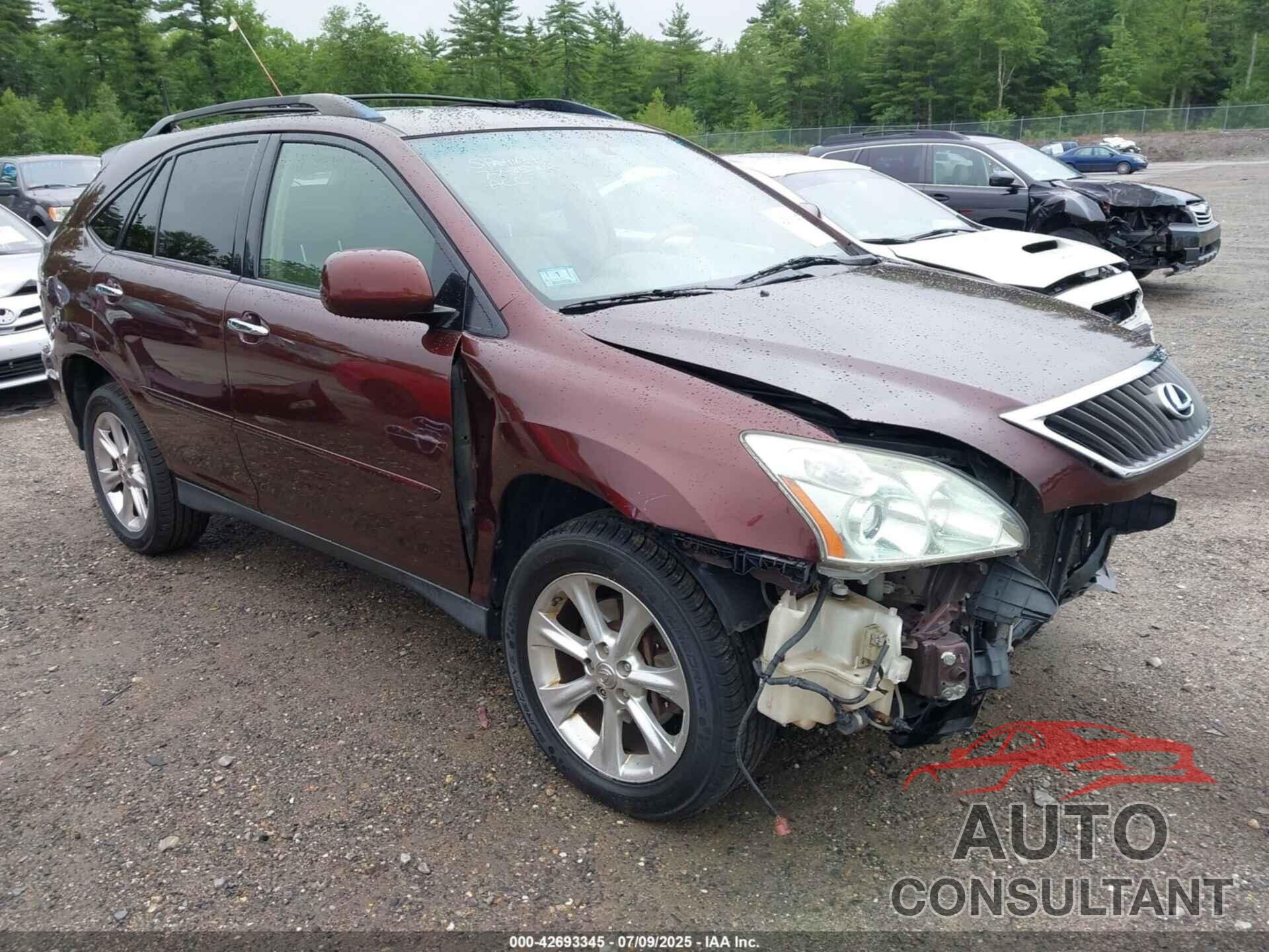 LEXUS RX 2009 - JTJHK31U992062365