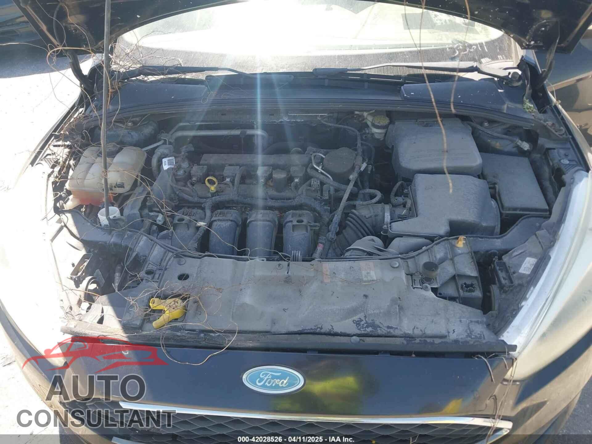 FORD FOCUS 2015 - 1FADP3K25FL223726