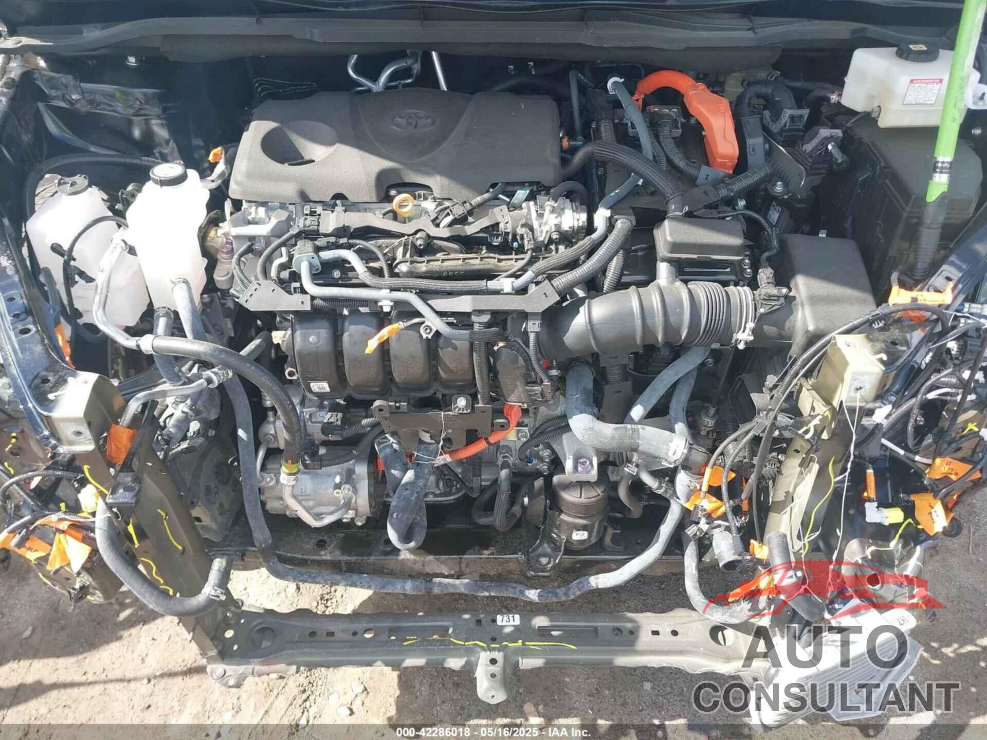 TOYOTA SIENNA 2022 - 5TDYSKFC2NS042734