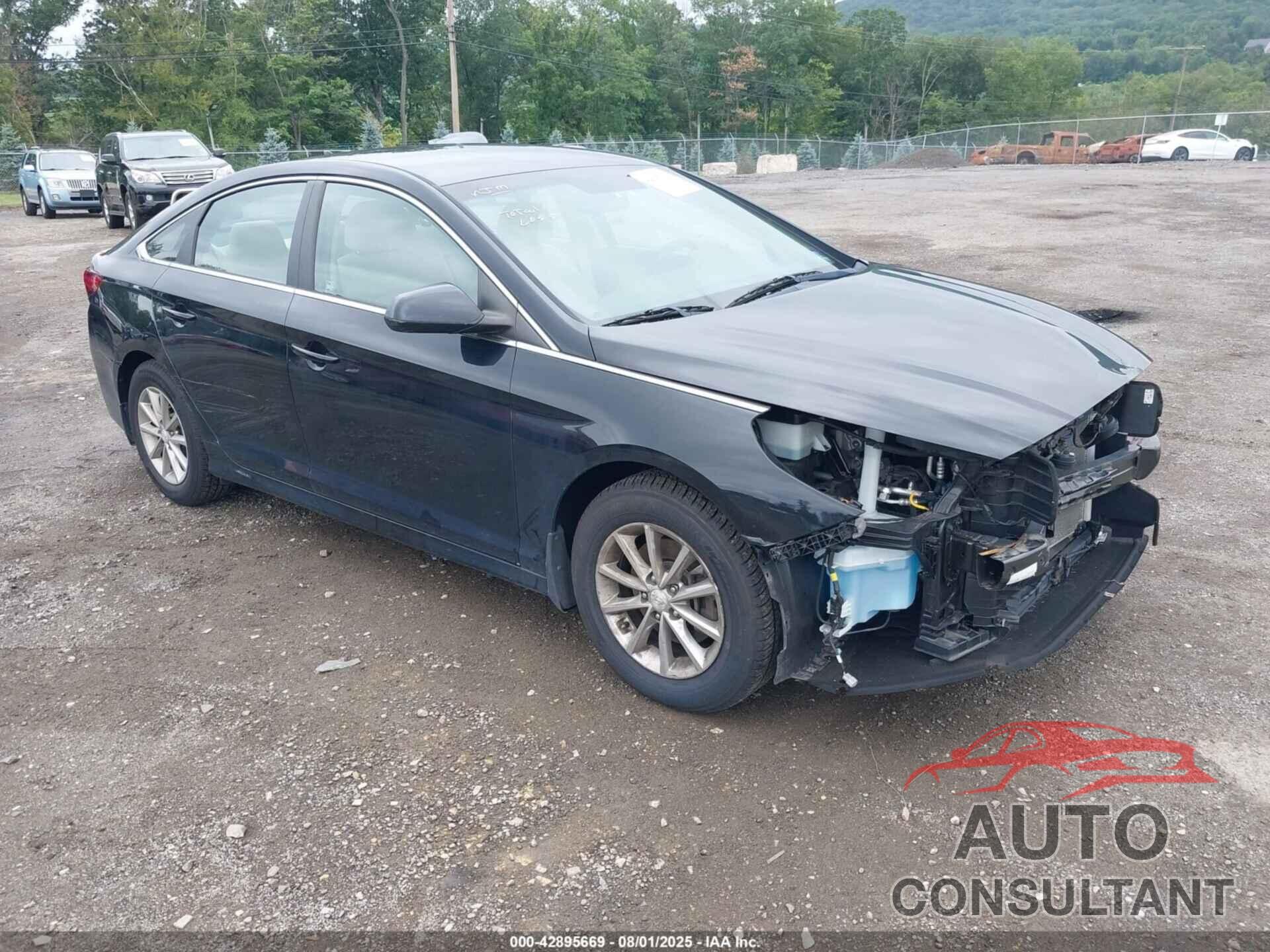 HYUNDAI SONATA 2019 - 5NPE24AF4KH805211