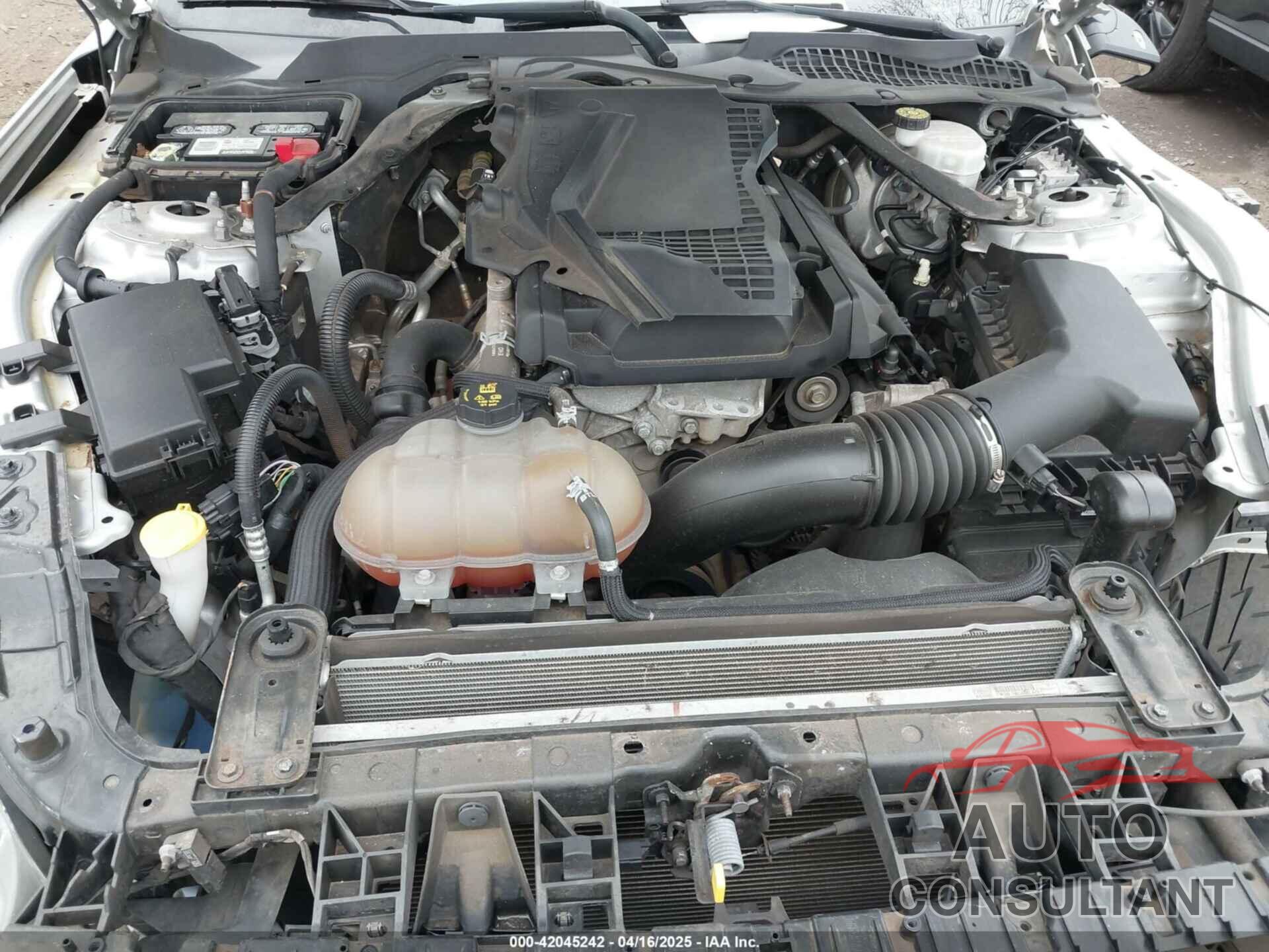 FORD MUSTANG 2019 - 1FATP8UH5K5172348