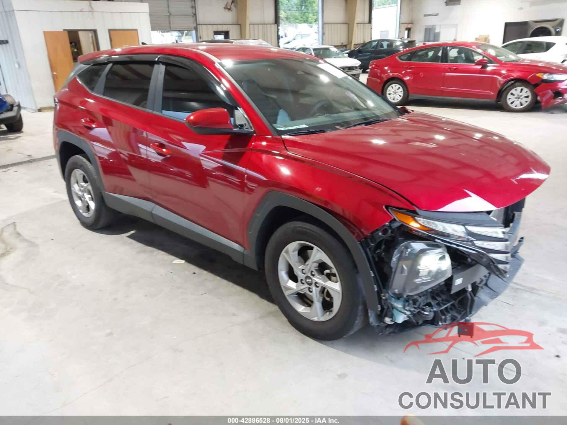 HYUNDAI TUCSON 2024 - 5NMJA3DE0RH439379