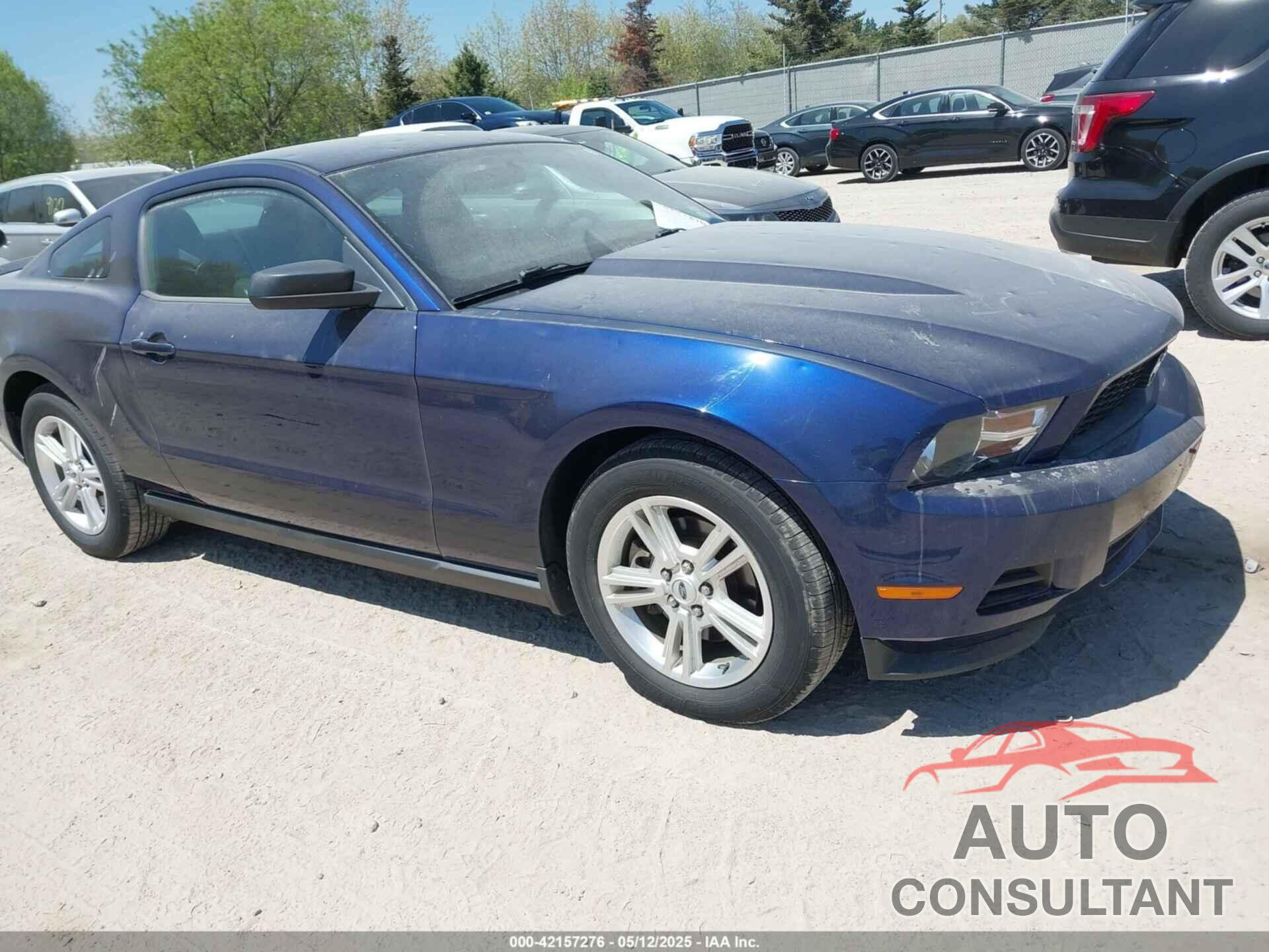 FORD MUSTANG 2012 - 1ZVBP8AM3C5253841