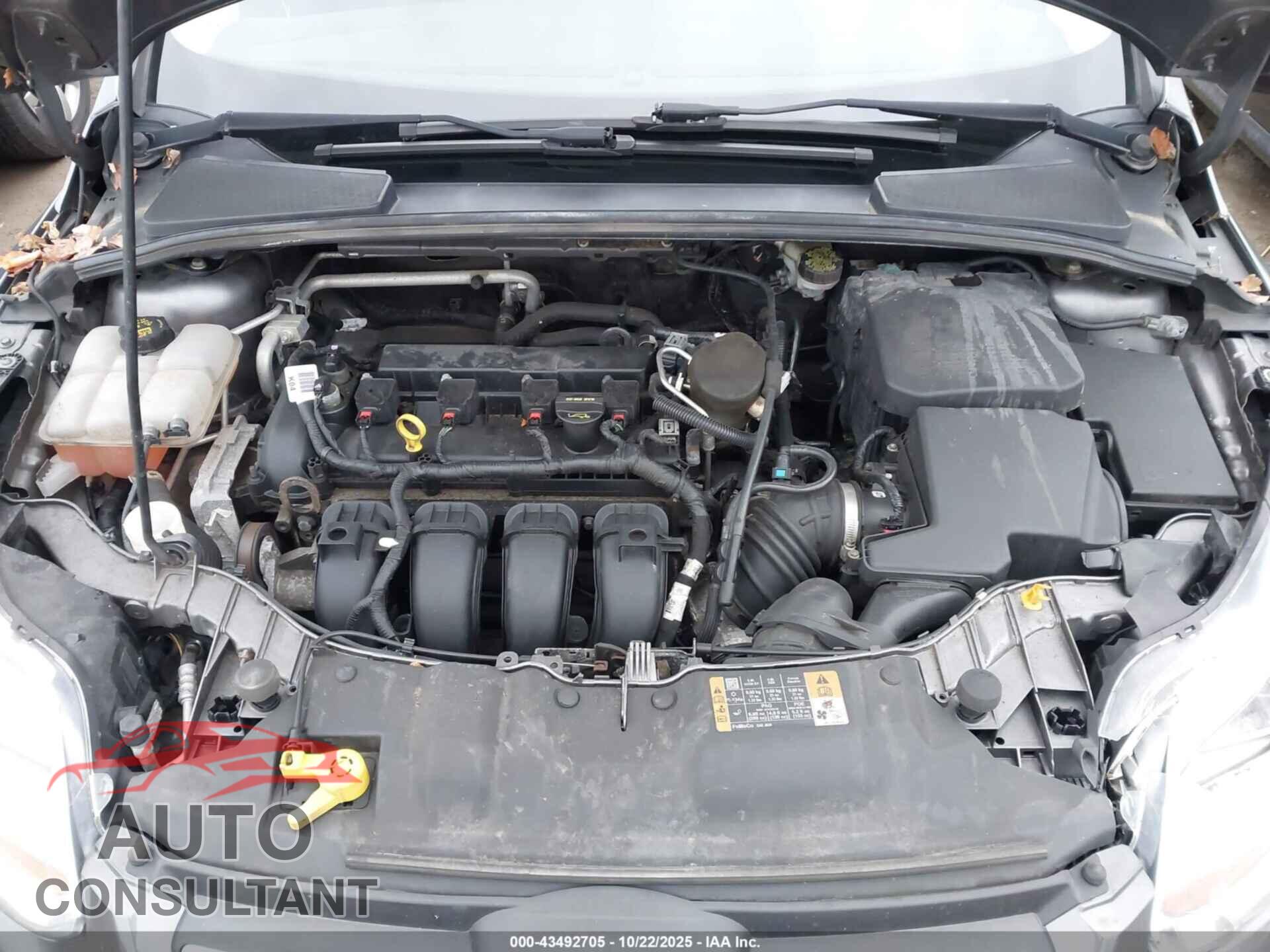 FORD FOCUS 2014 - 1FADP3F29EL344686