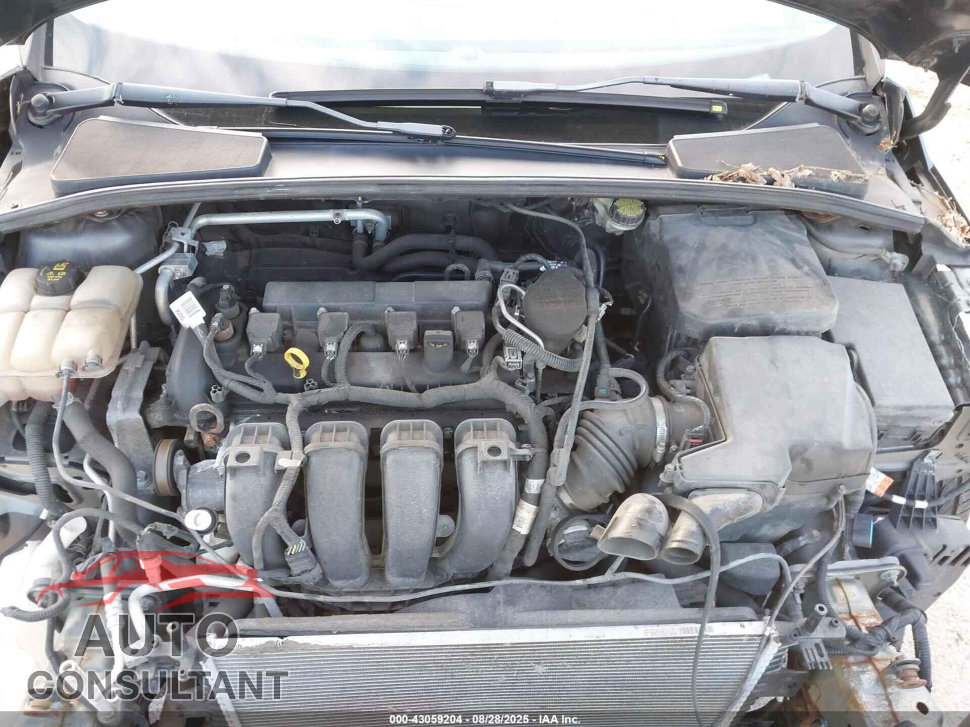 FORD FOCUS 2016 - 1FADP3F2XGL313210