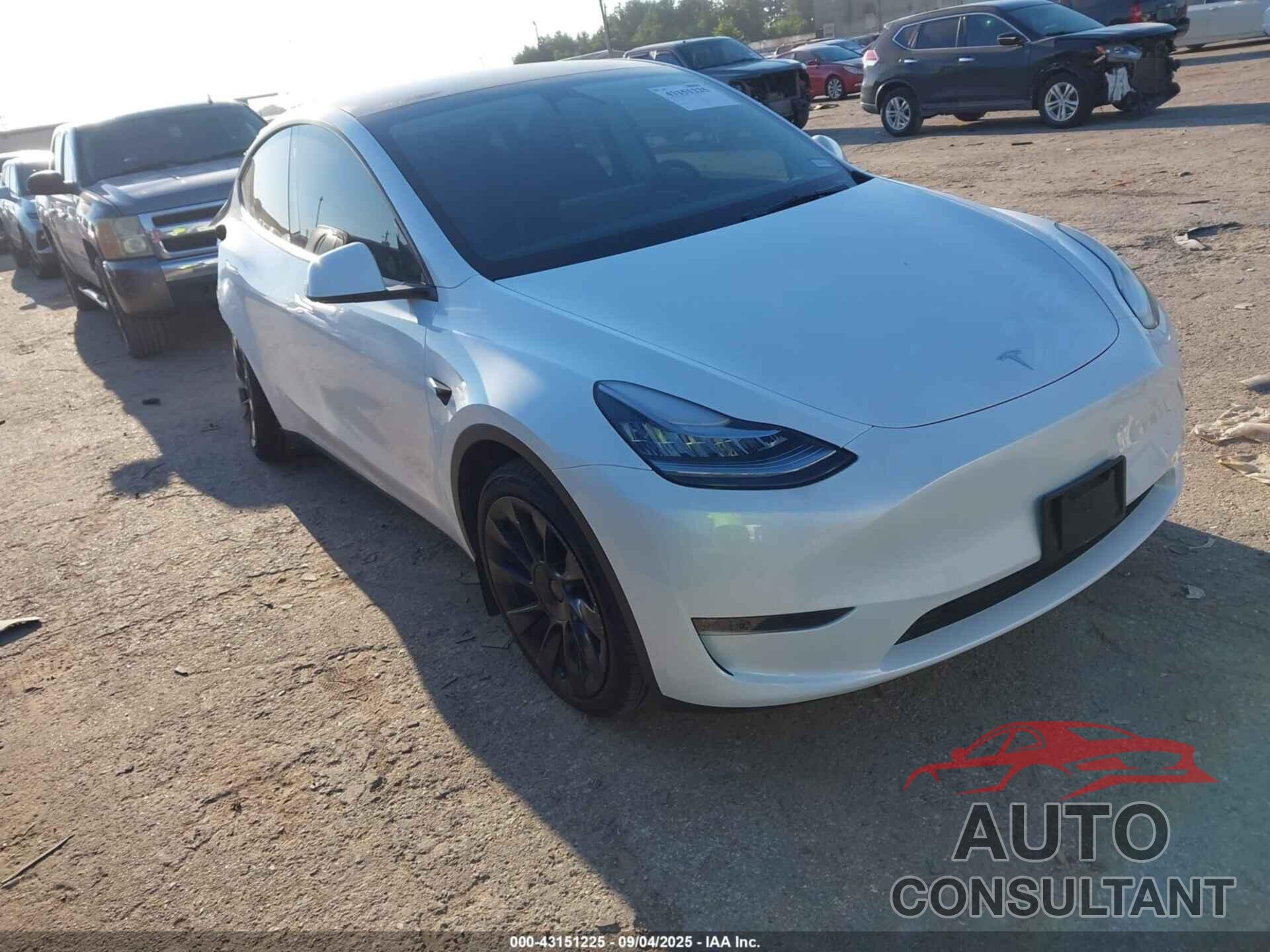 TESLA MODEL Y 2023 - 7SAYGDEE6PA121766