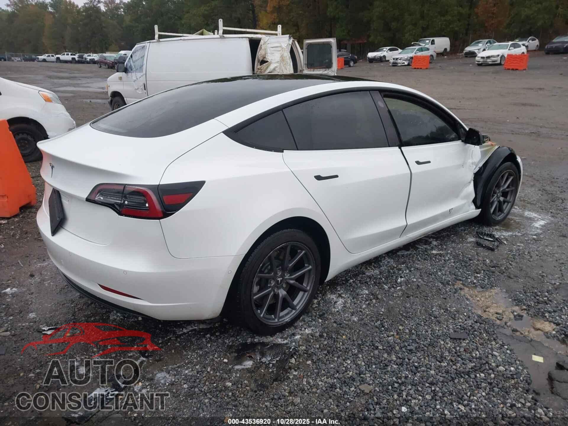 TESLA MODEL 3 2021 - 5YJ3E1EA2MF913341