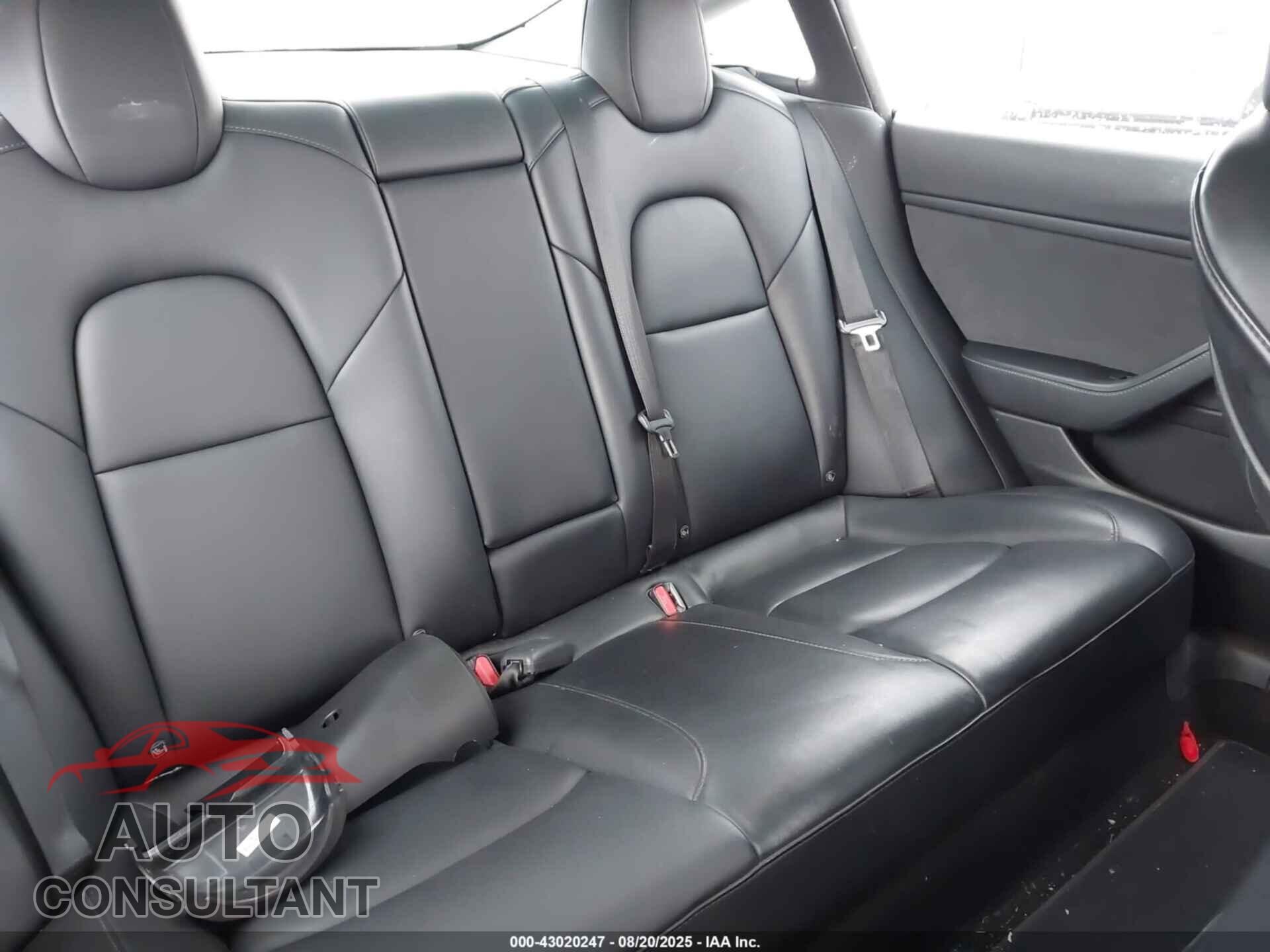TESLA MODEL 3 2022 - 5YJ3E1EB3NF261016