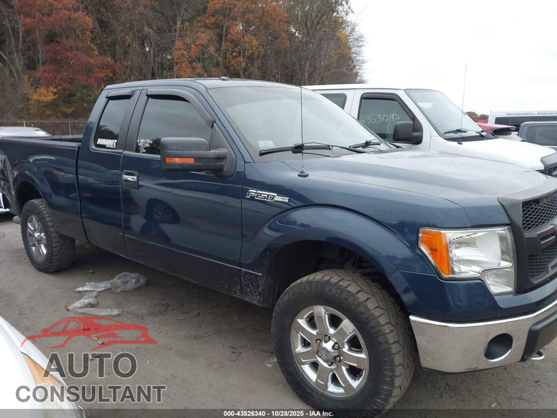 FORD F-150 2013 - 1FTFX1EF4DFB93300