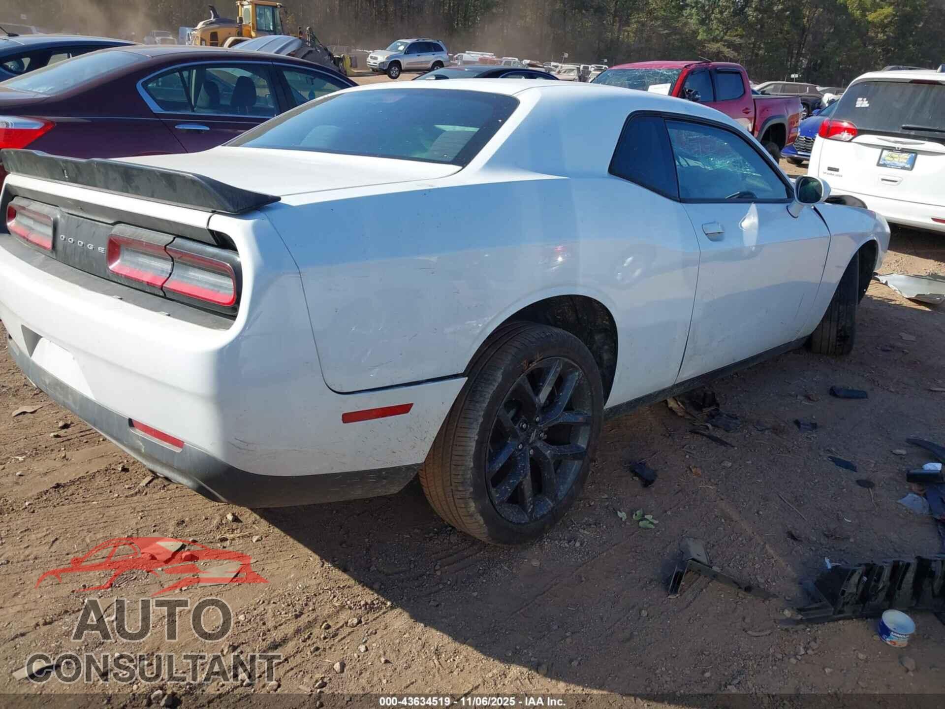 DODGE CHALLENGER 2019 - 2C3CDZAG9KH666584