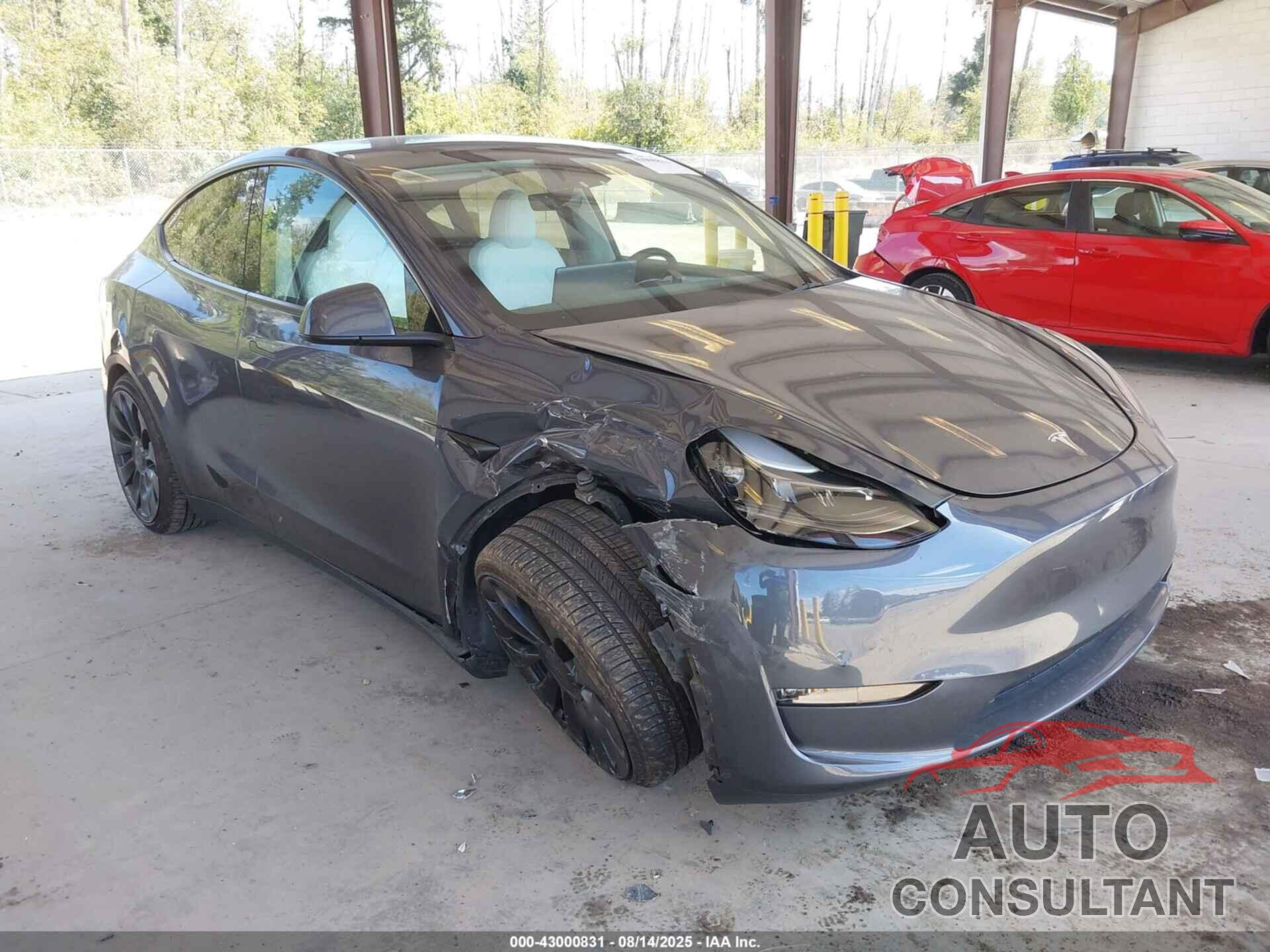 TESLA MODEL Y 2023 - 7SAYGDEF5PF884650