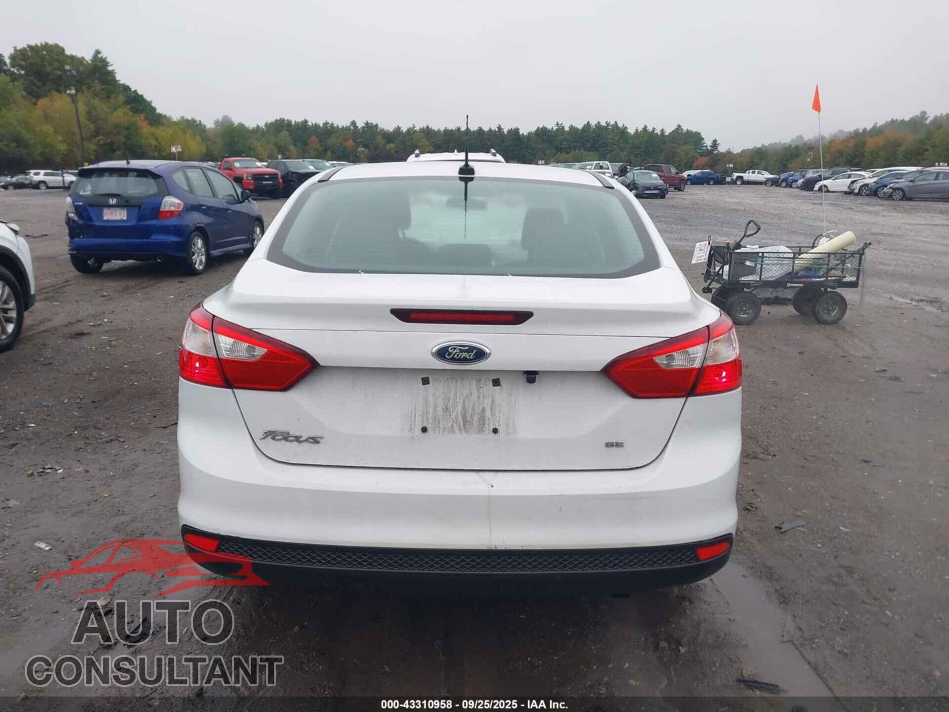 FORD FOCUS 2012 - 1FAHP3F22CL169731
