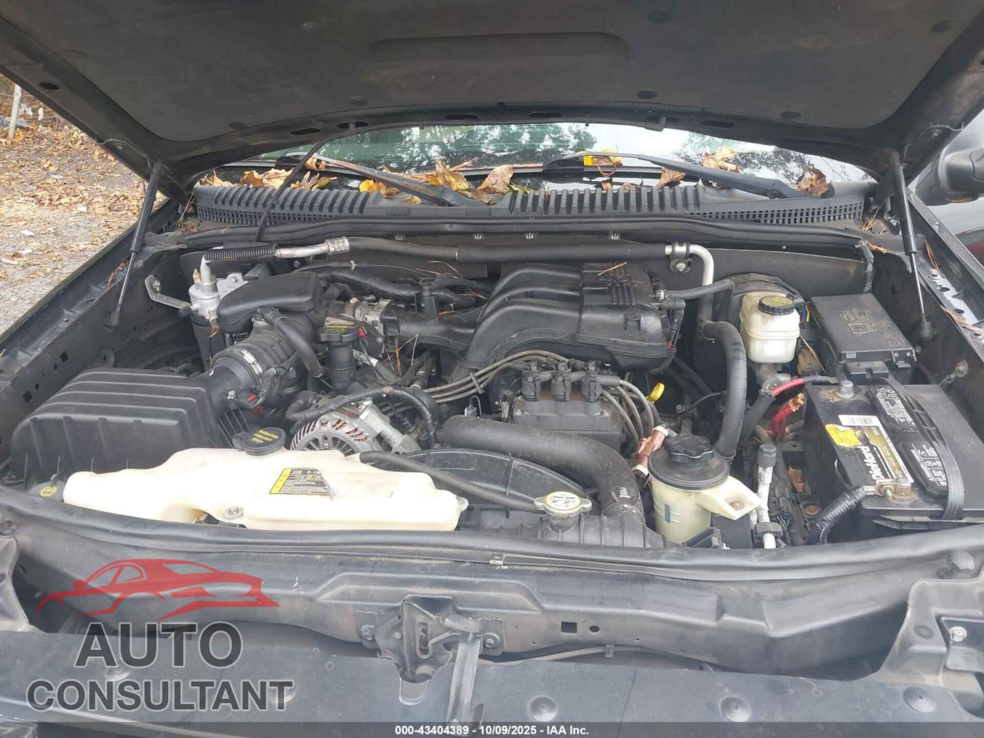 FORD EXPLORER 2010 - 1FMEU6EE0AUA86935